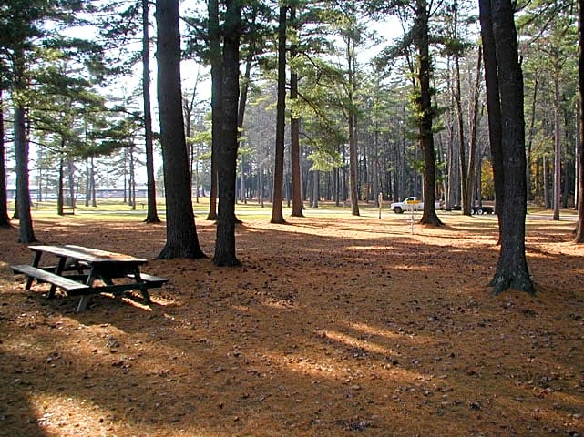 Tent Sites