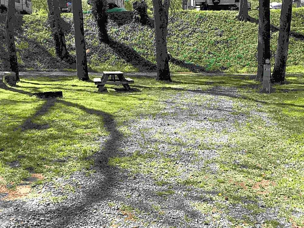 Pull-Thru Lower Level RV Site