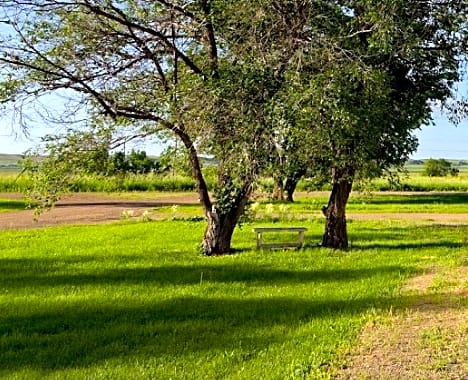 Primitive Camping