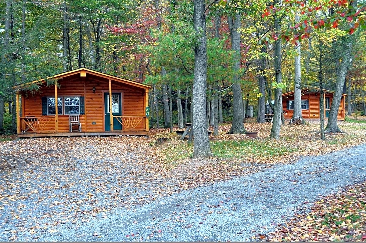 Standard Pet Friendly Family Lodge