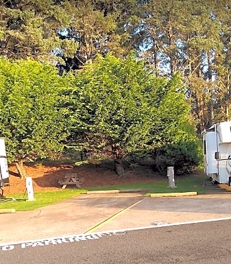 30ft Back In Site