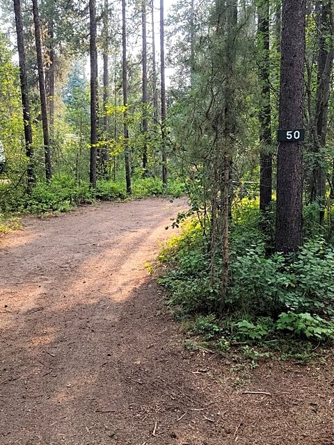 Primitive Tent Site