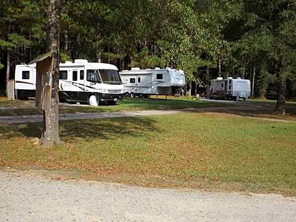 Back-In RV Site