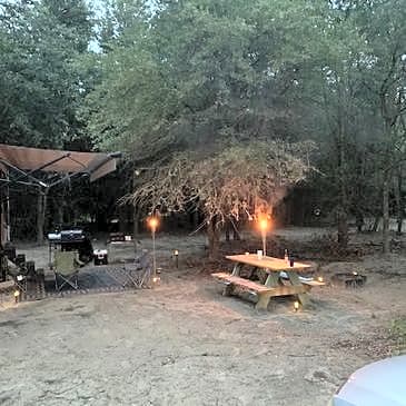 Premium Shaded Sites (wifi included)