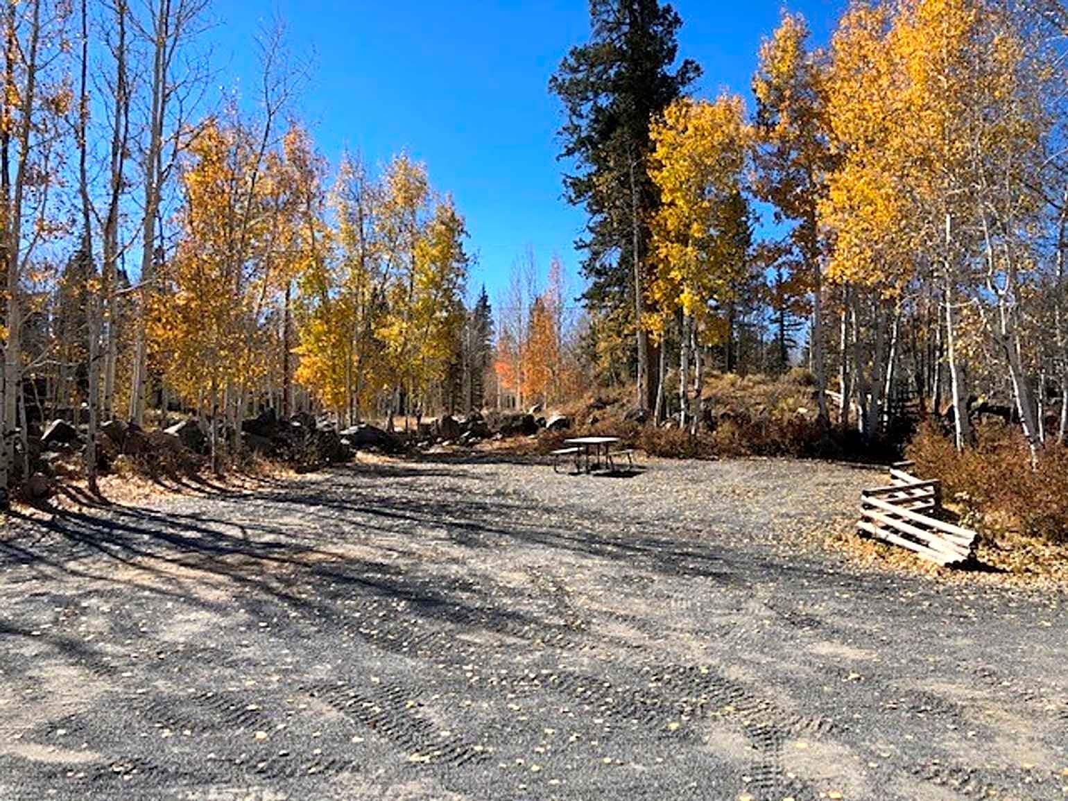 Back-In 15/30/50 Amp RV Site