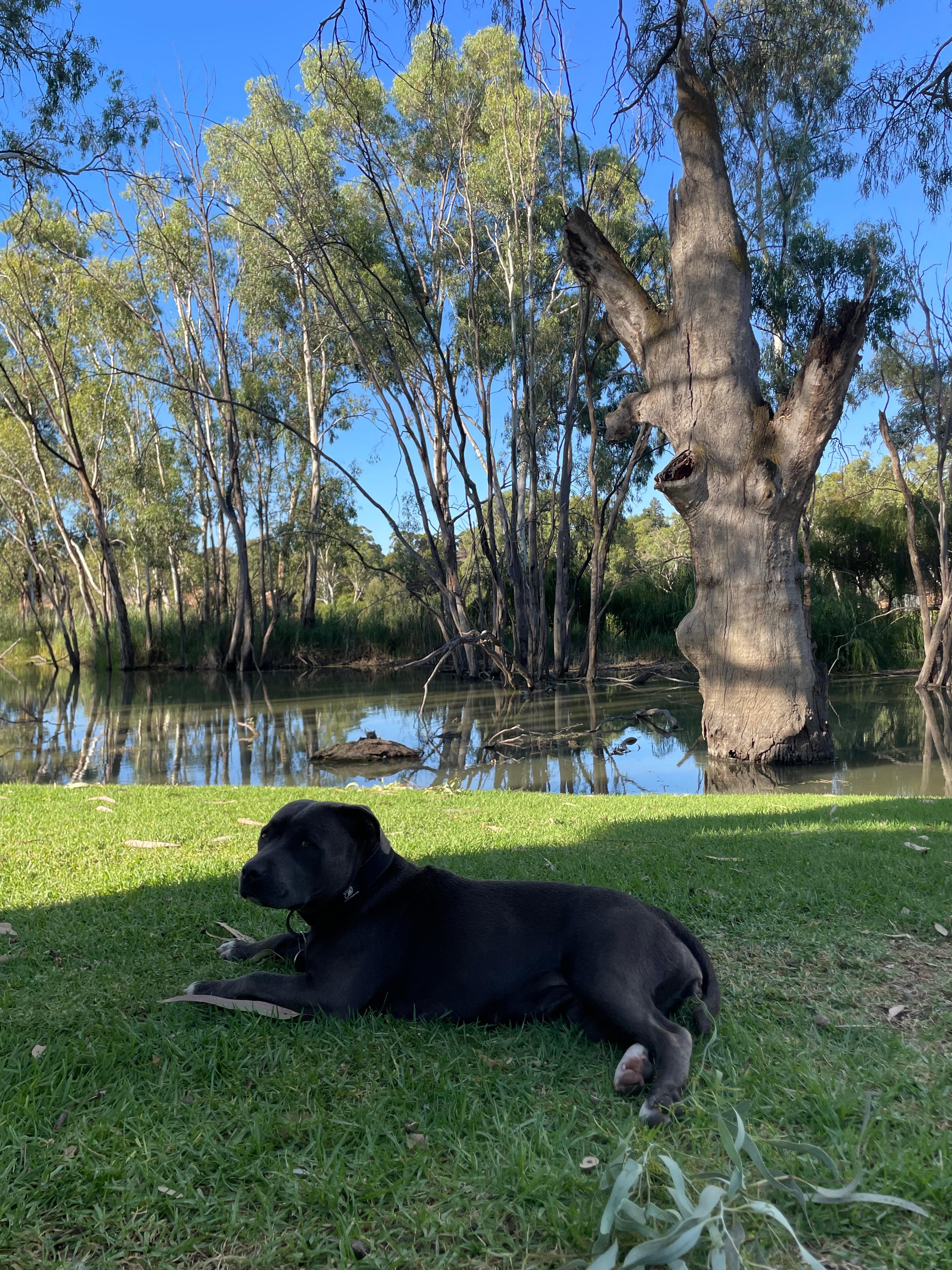 Echo Holiday Parks - Renmark