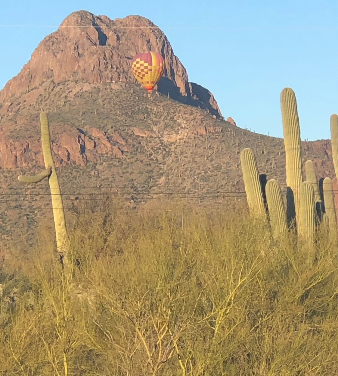 Saguaro Mountain View