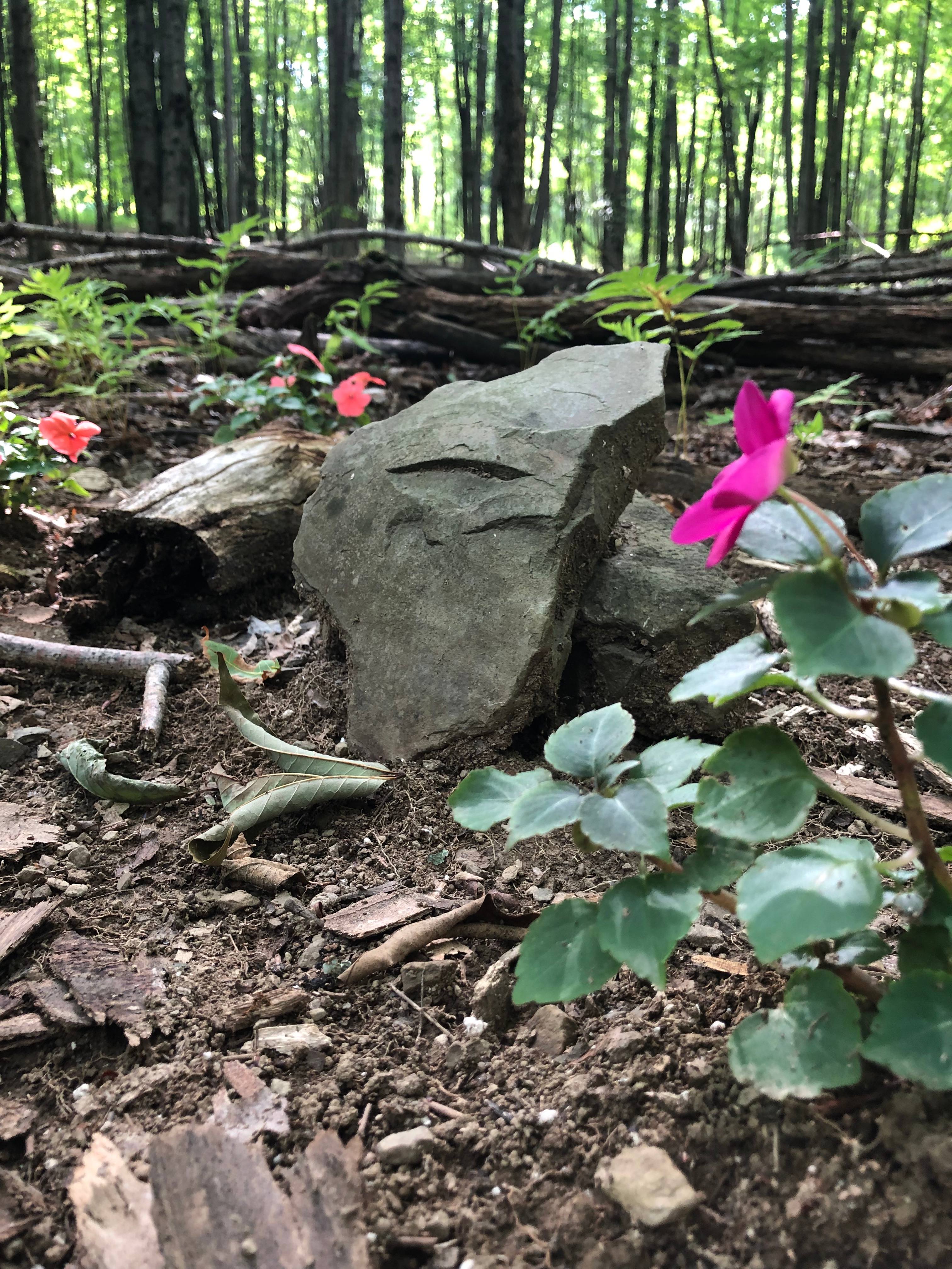 Forest Hermitage