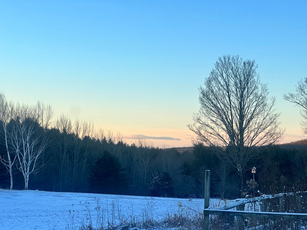 Timberland Trails