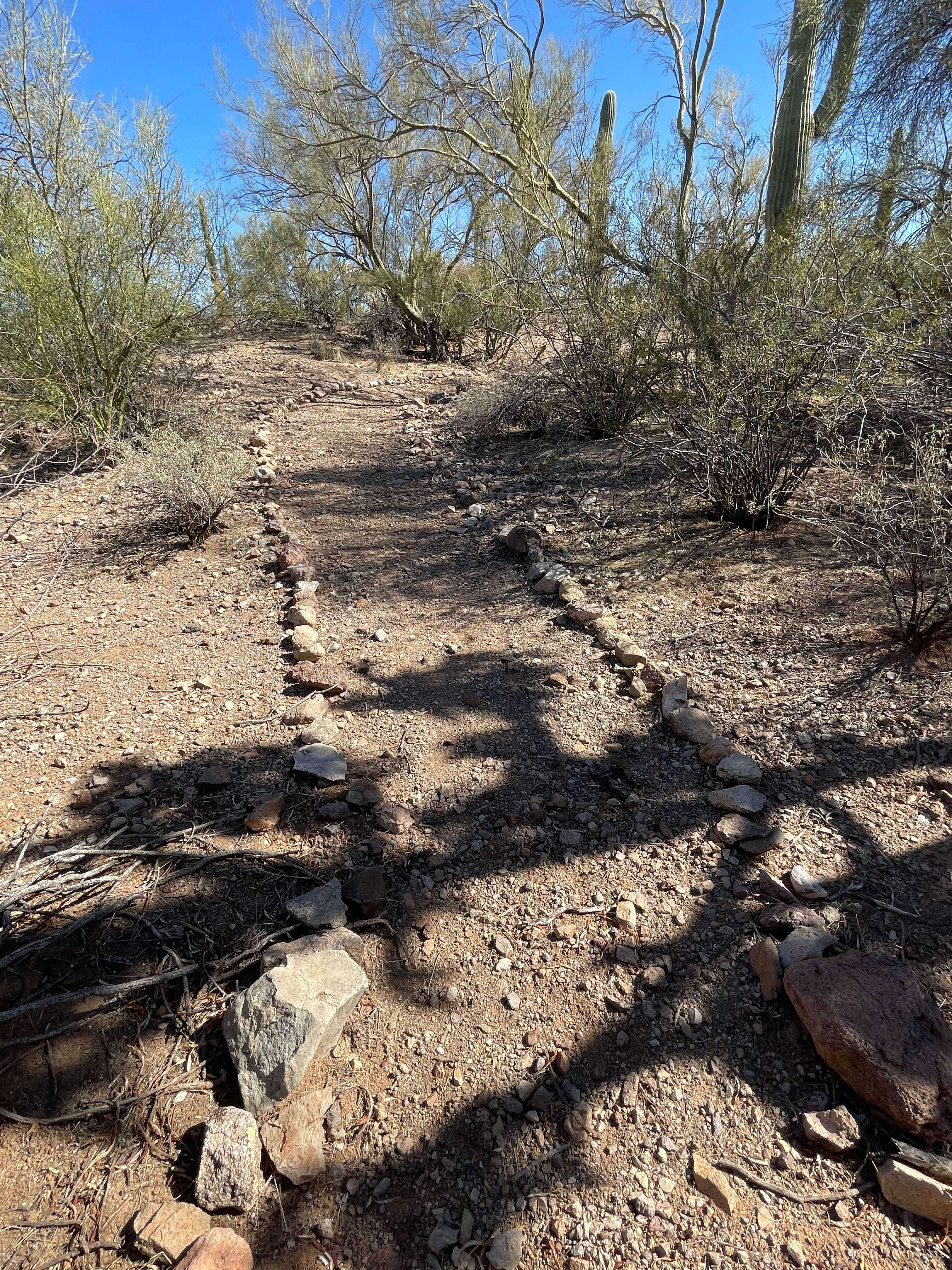 Trail to the labyrinth. 