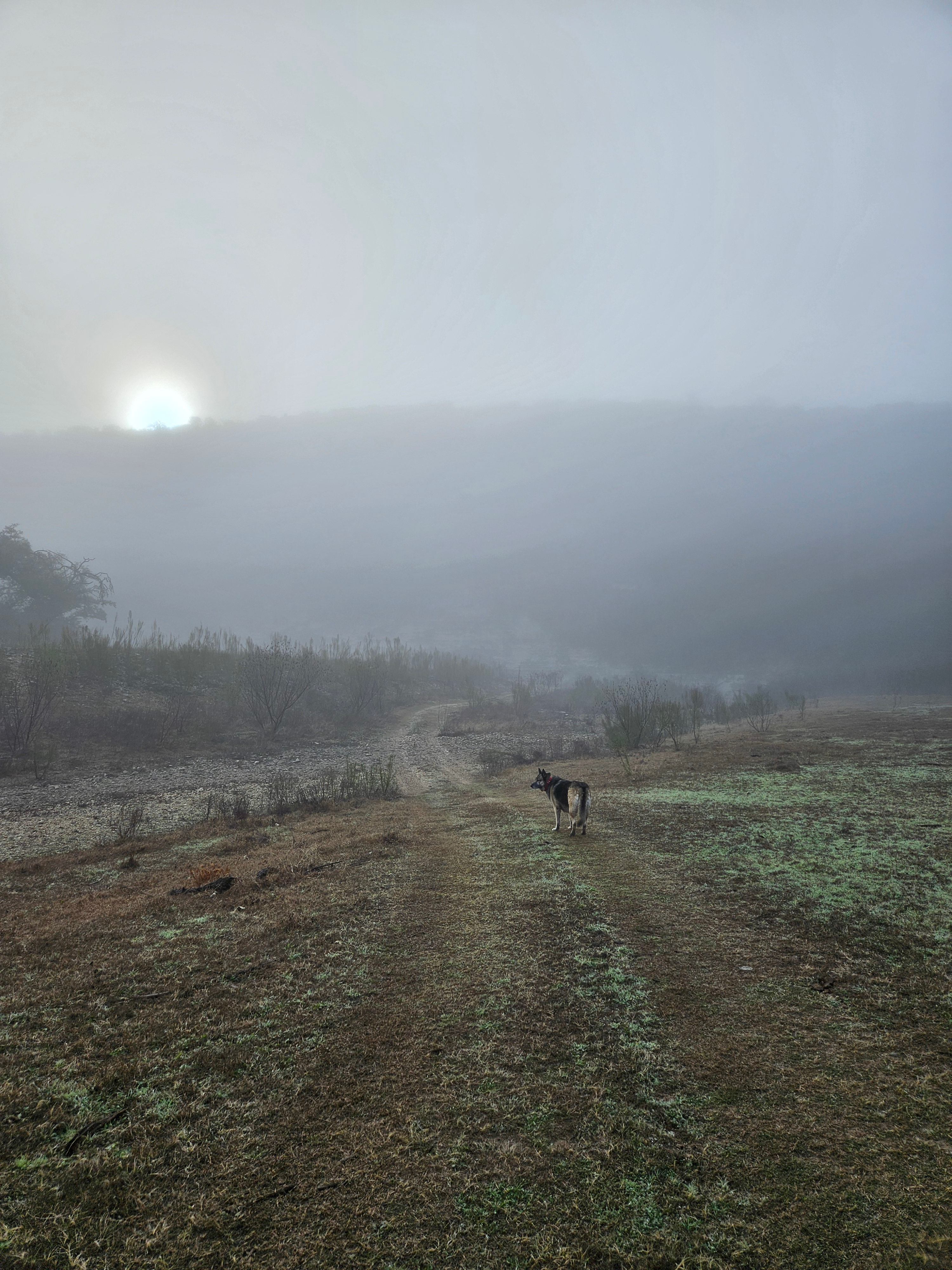 Haby Ranch