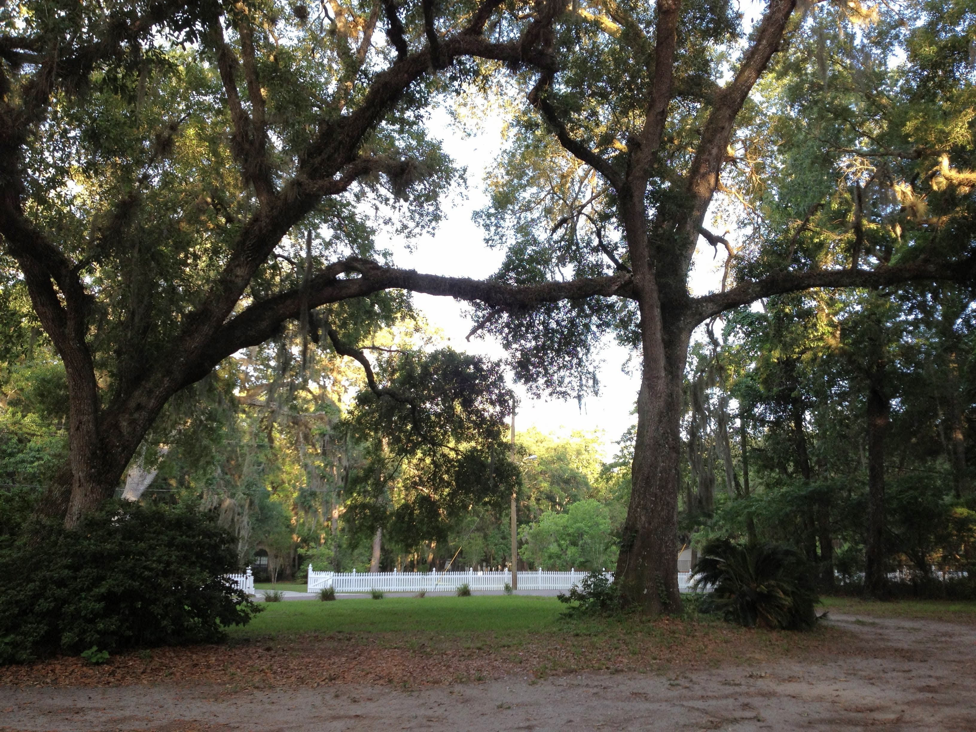 Animal Lover's RV Site