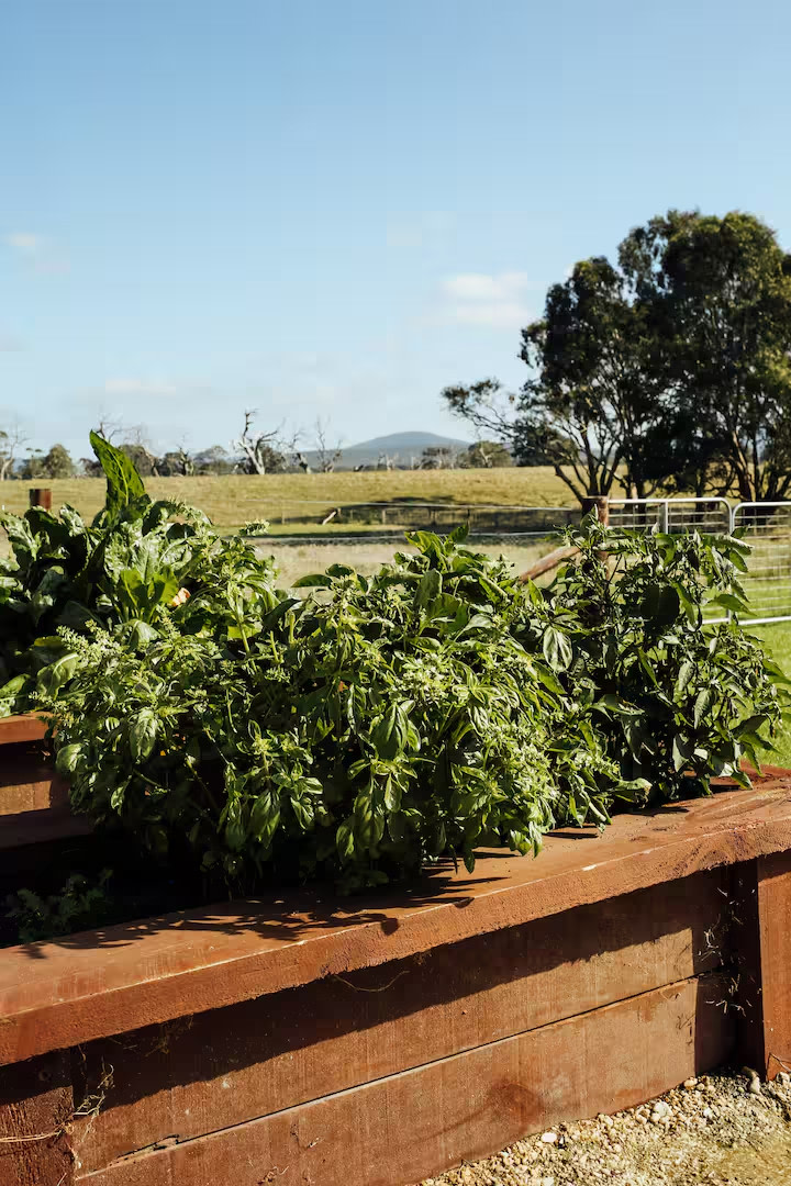 Shearer’s Quarters