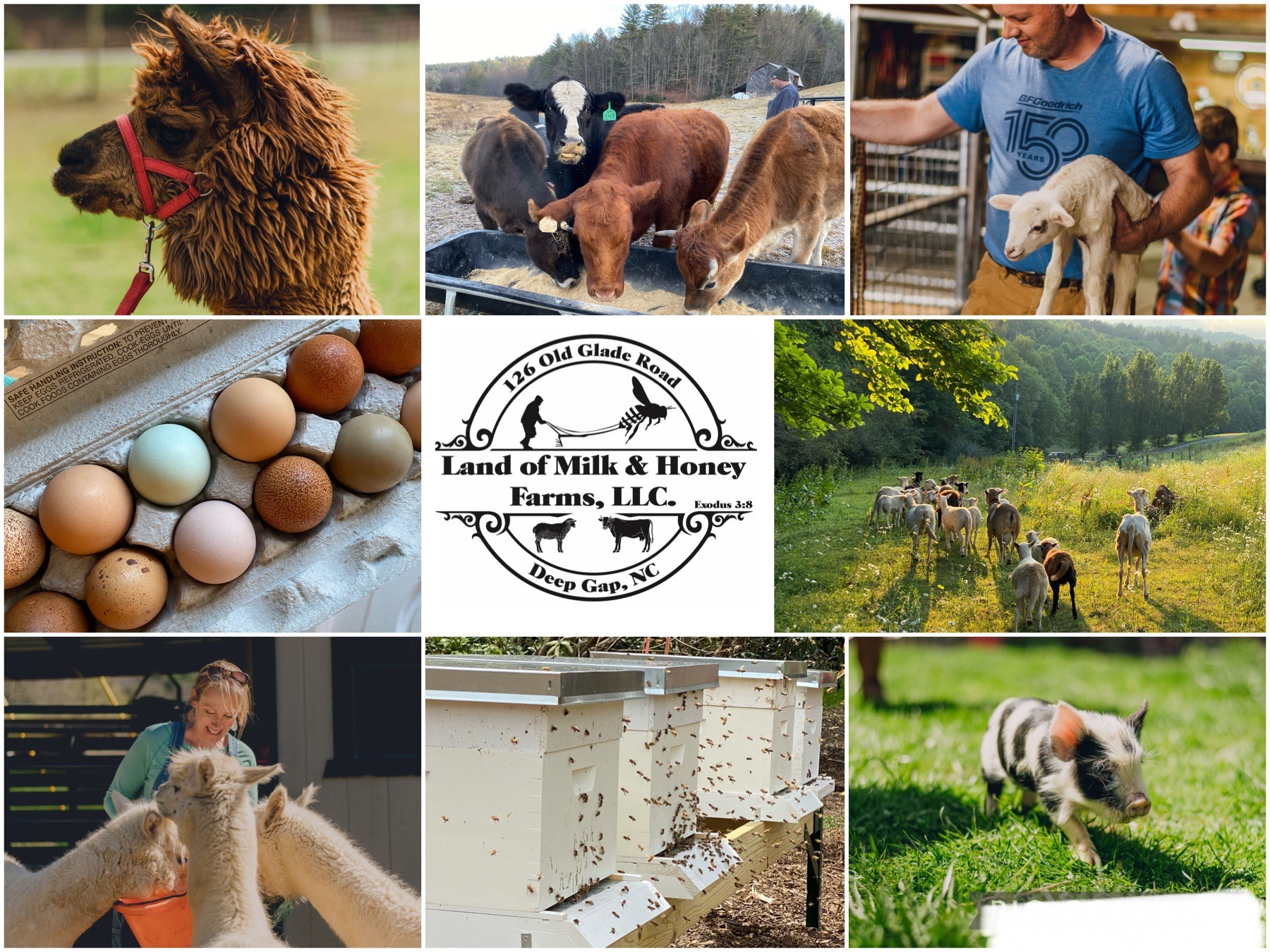 Land Of Milk and Honey Farms, LLC