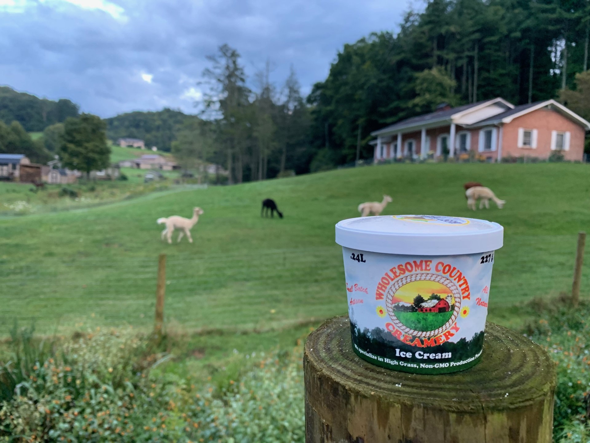 Land Of Milk and Honey Farms, LLC