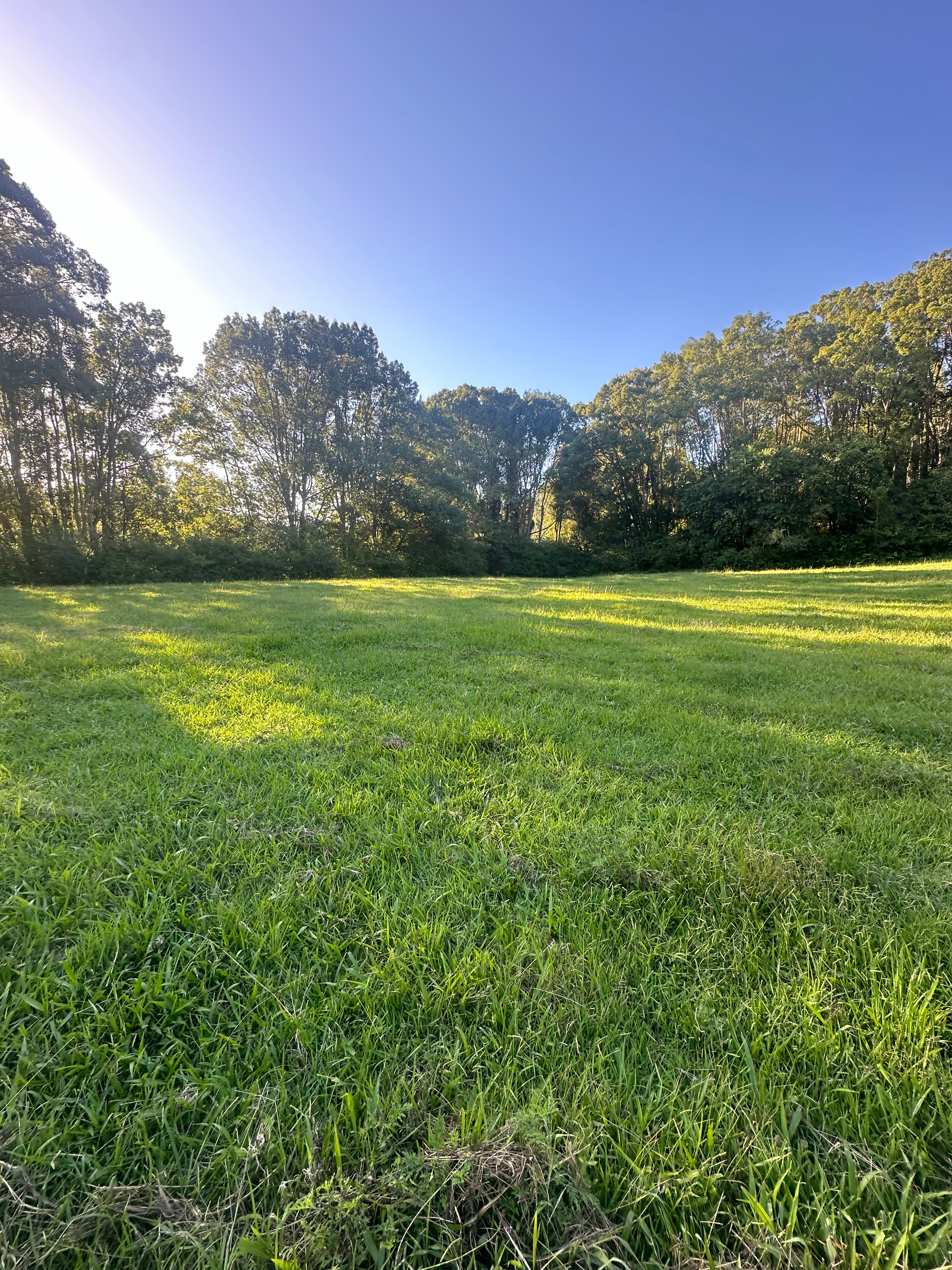 Wilson River Retreat