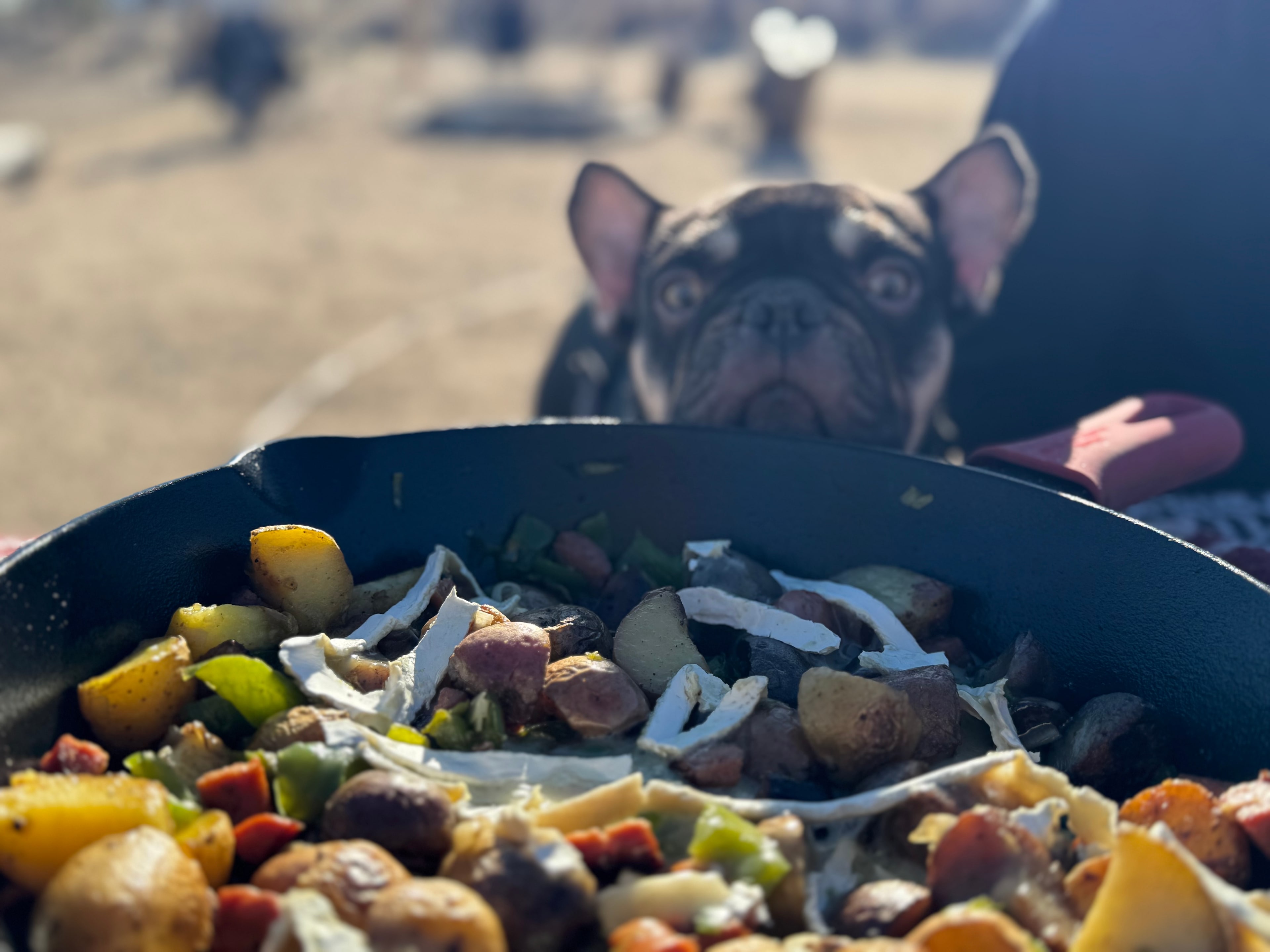 Views! 15 min to Joshua Park