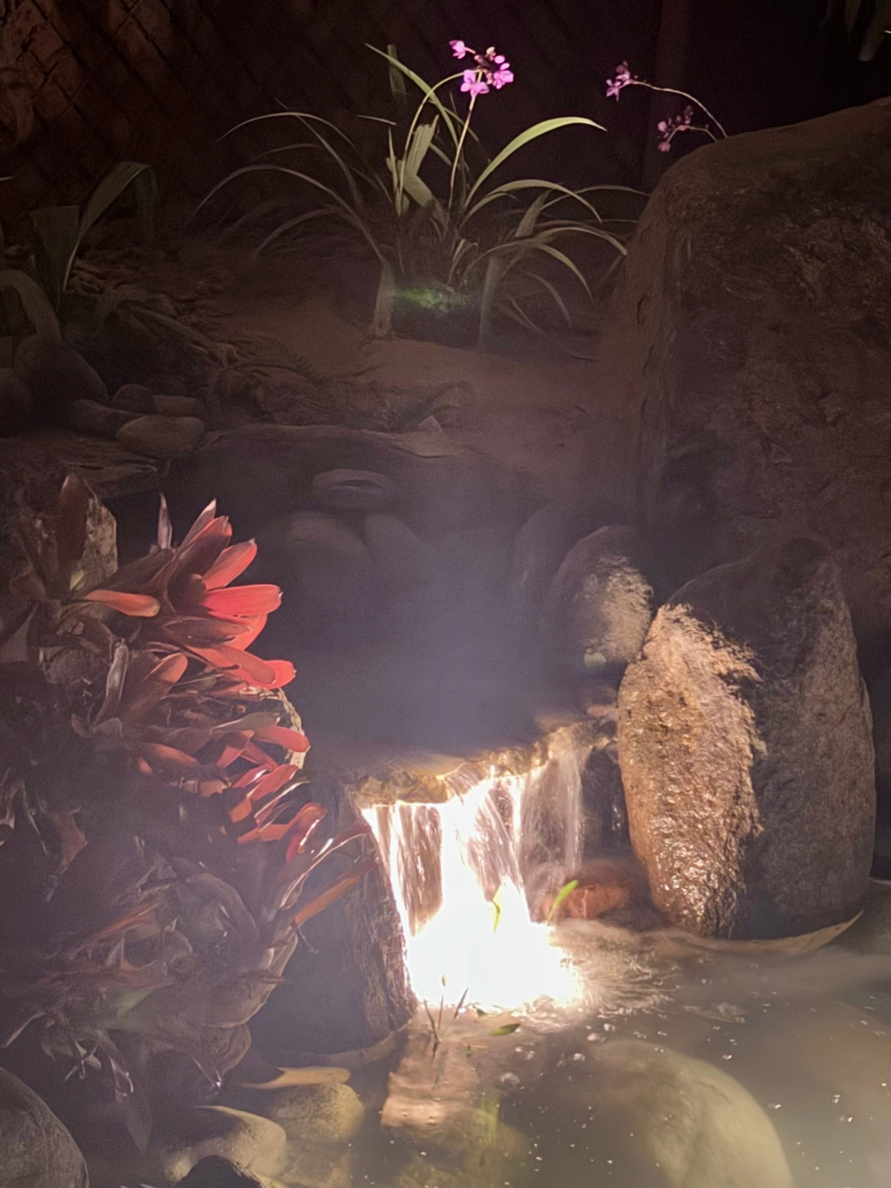 Jardin al Bosque - Glamping & Venue