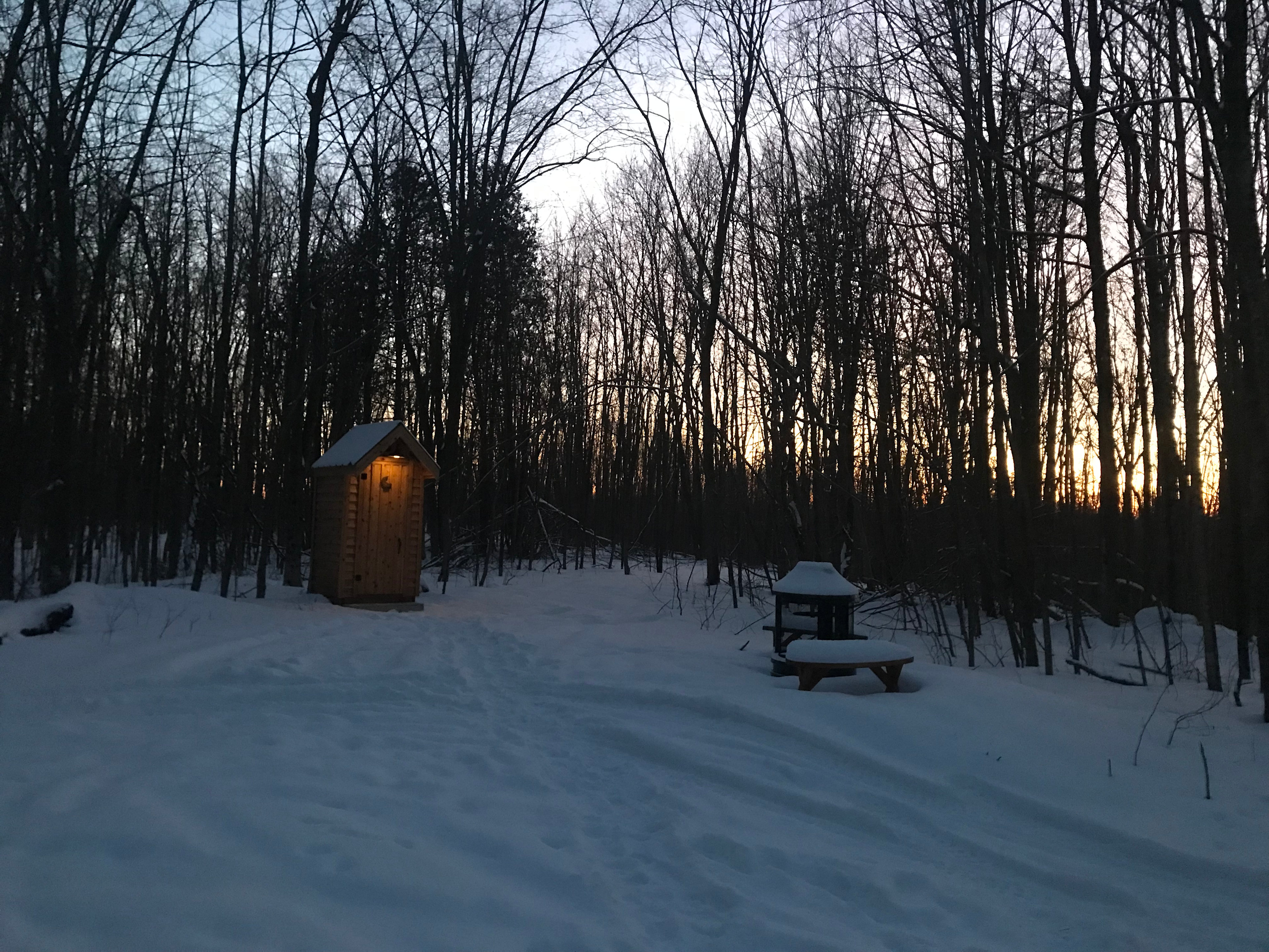 Northfield Flower Farm