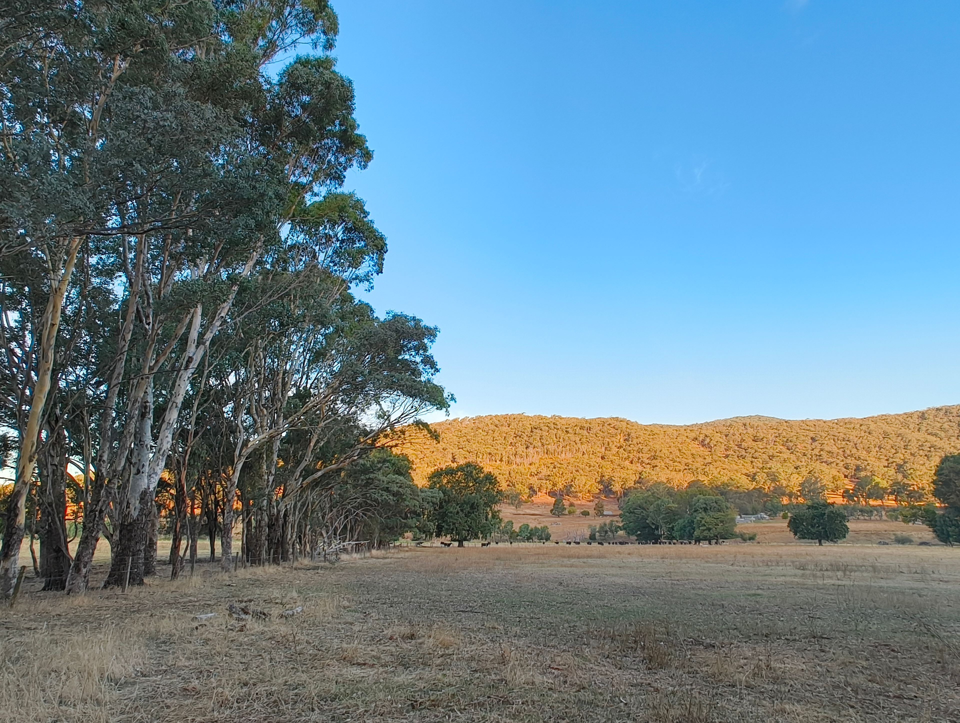 Blackwood Park - Lima East Valley