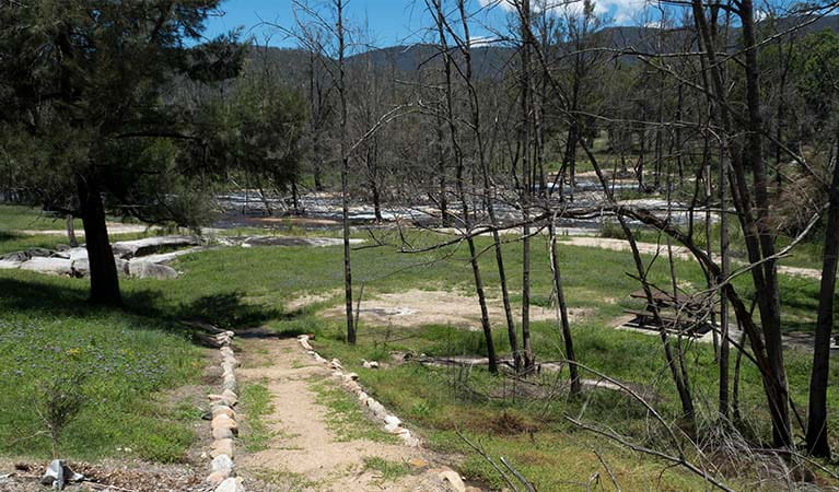 Mann River campground and picnic area