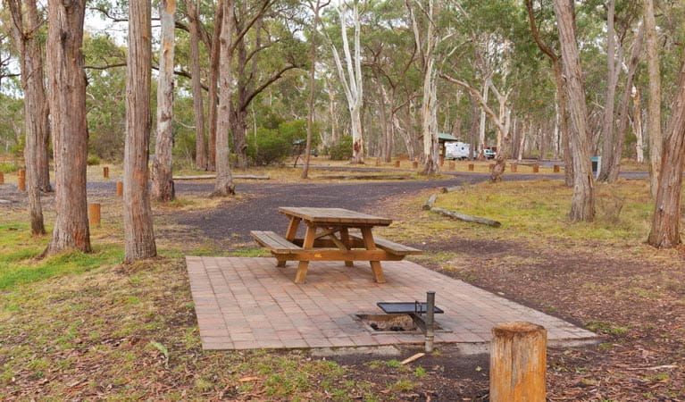 Apsley Falls campground