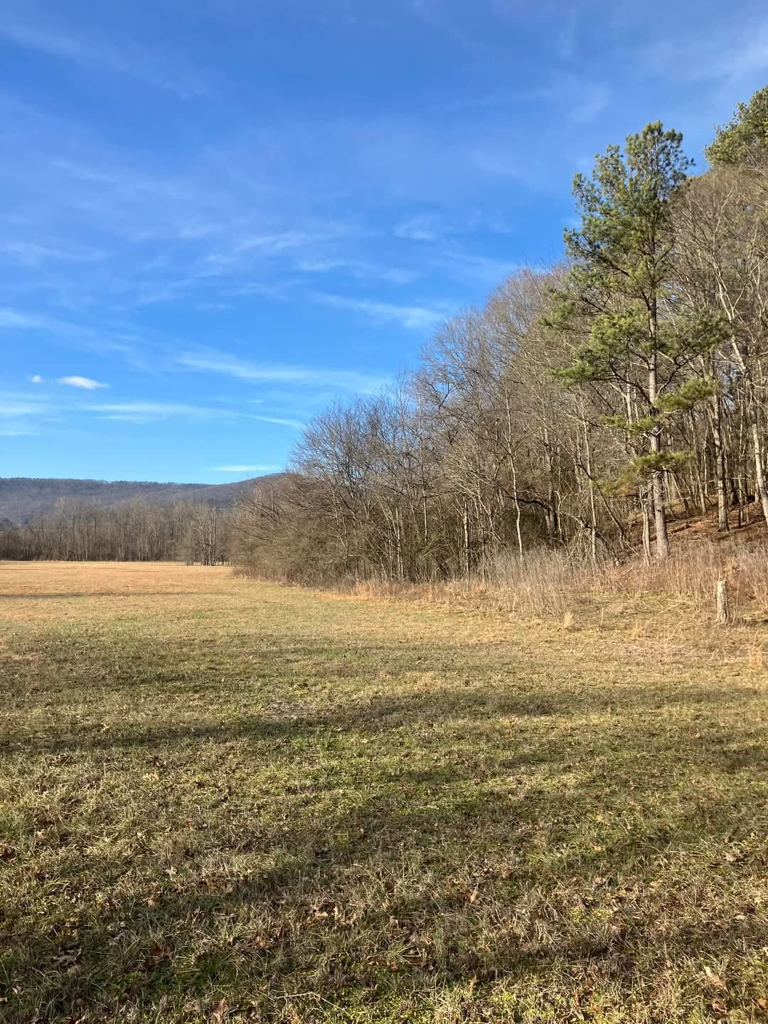 Covenant View Camp and Retreat