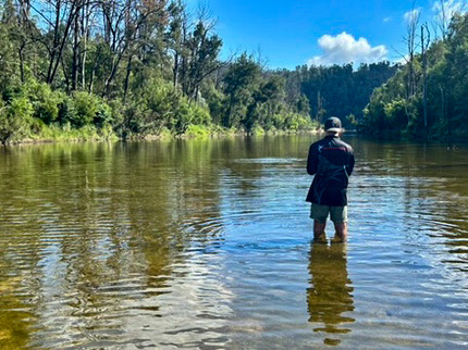 Nerrigundah Tuross River Camping
