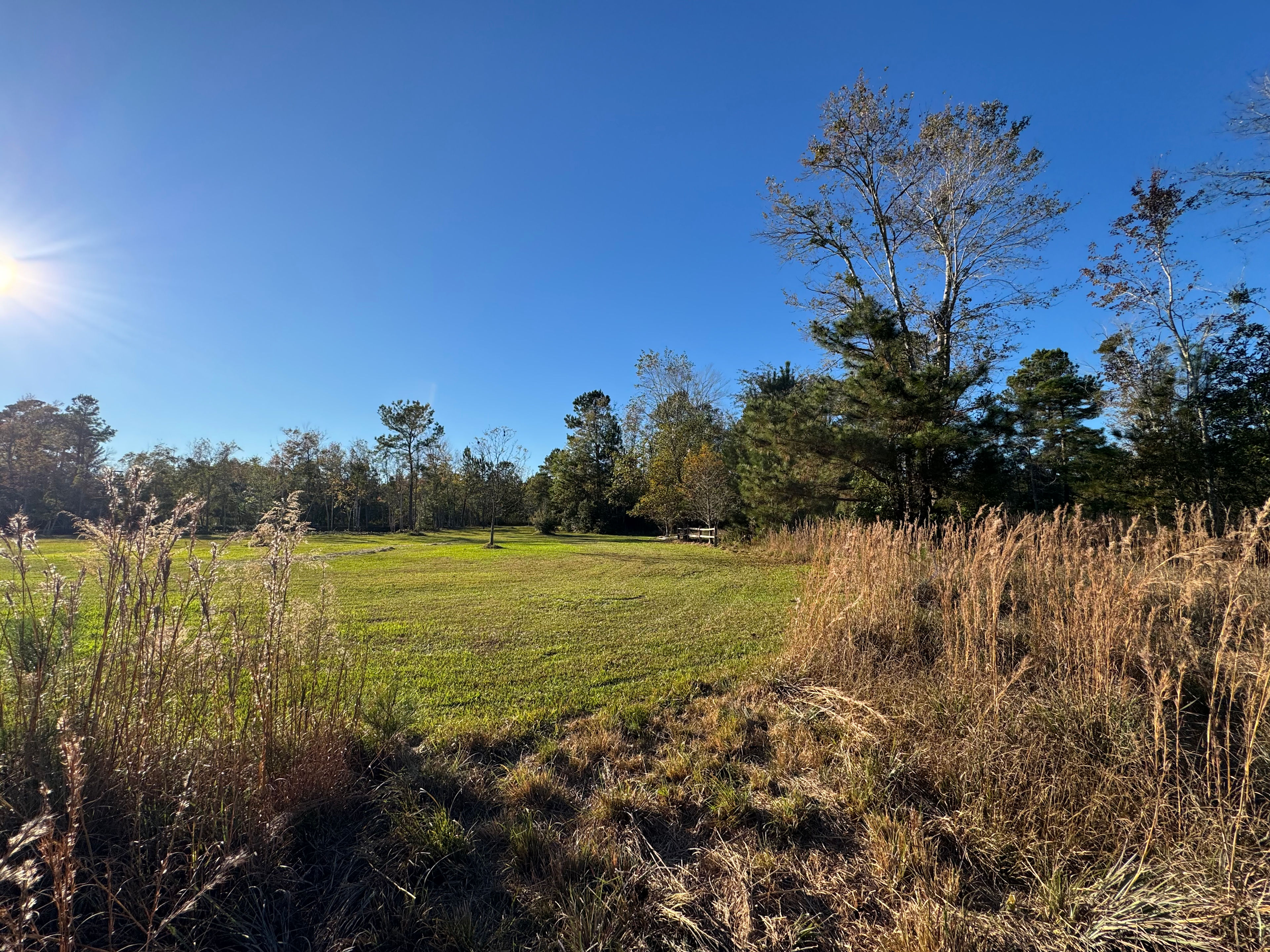 Iron Horn Farms