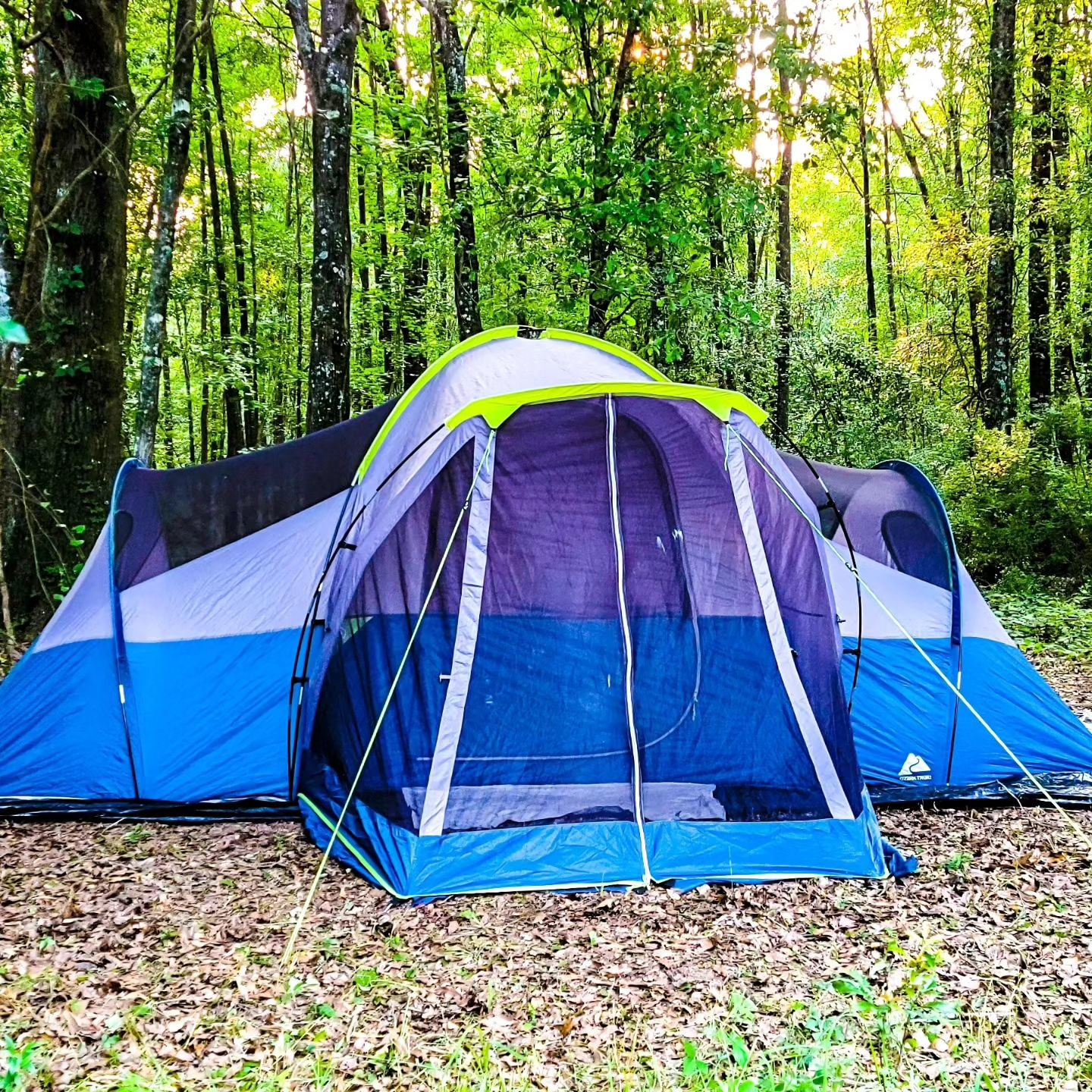 The Pecan Orchard CampGrounds