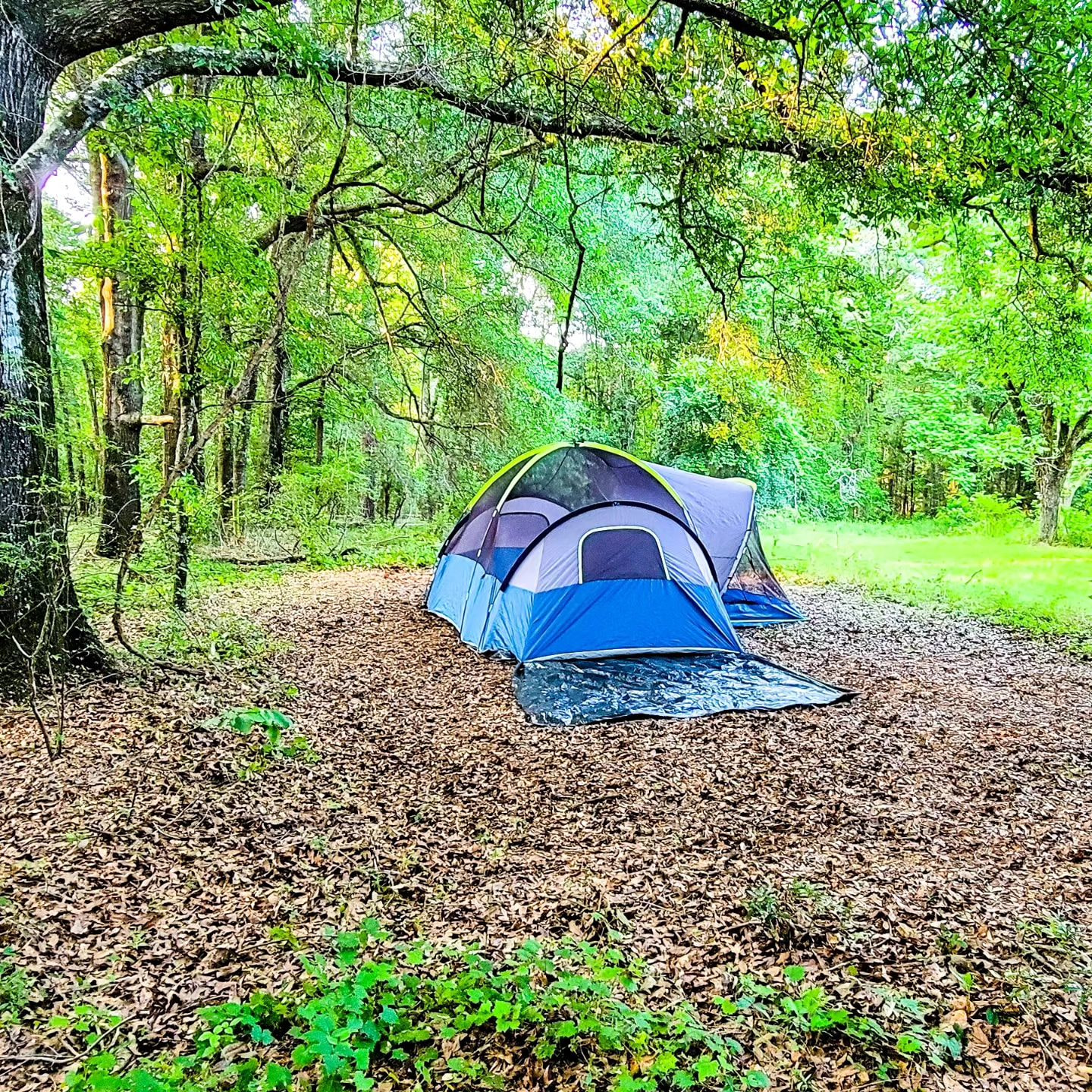 The Pecan Orchard CampGrounds
