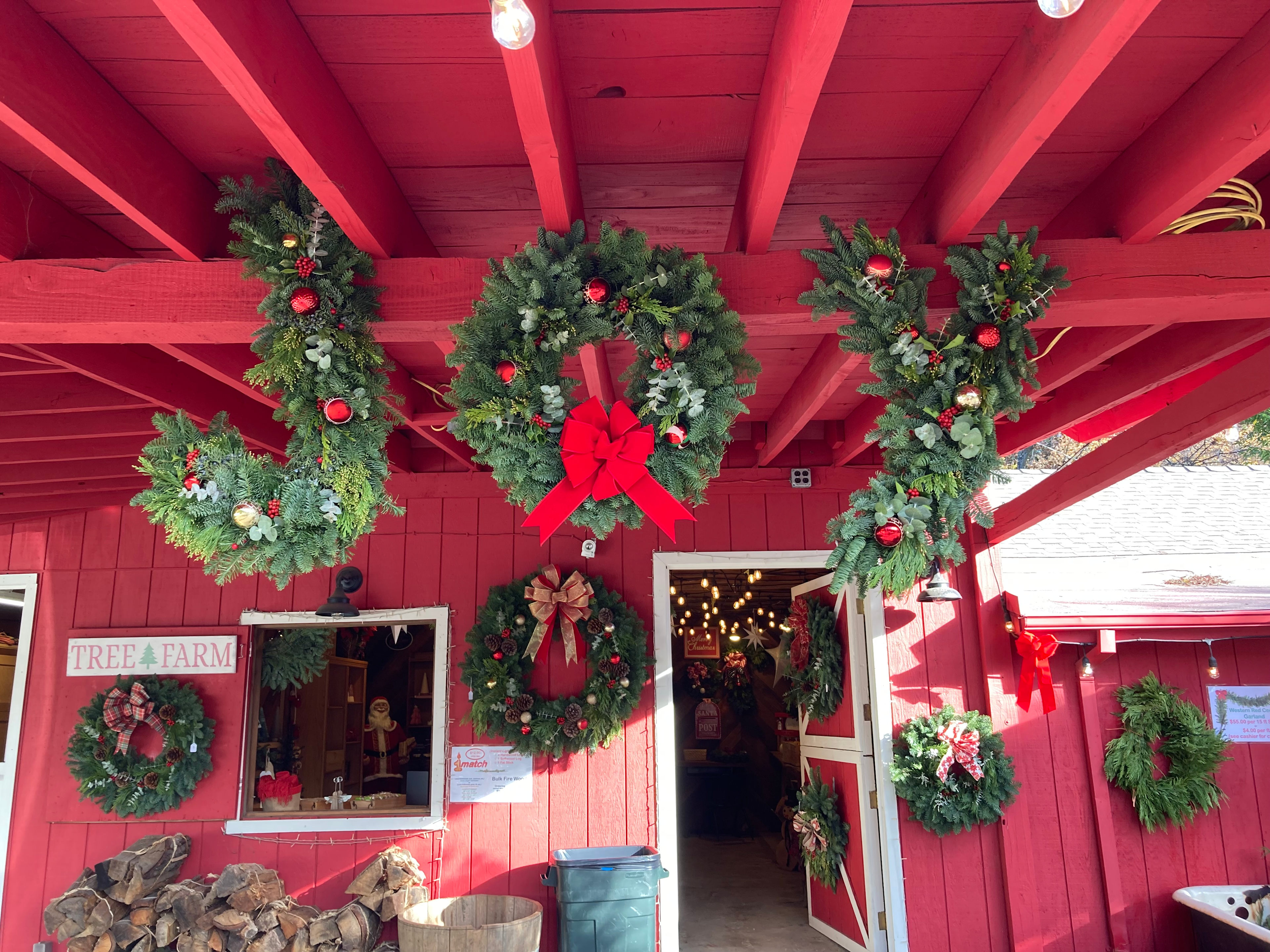 Patchen Christmas Tree Farm
