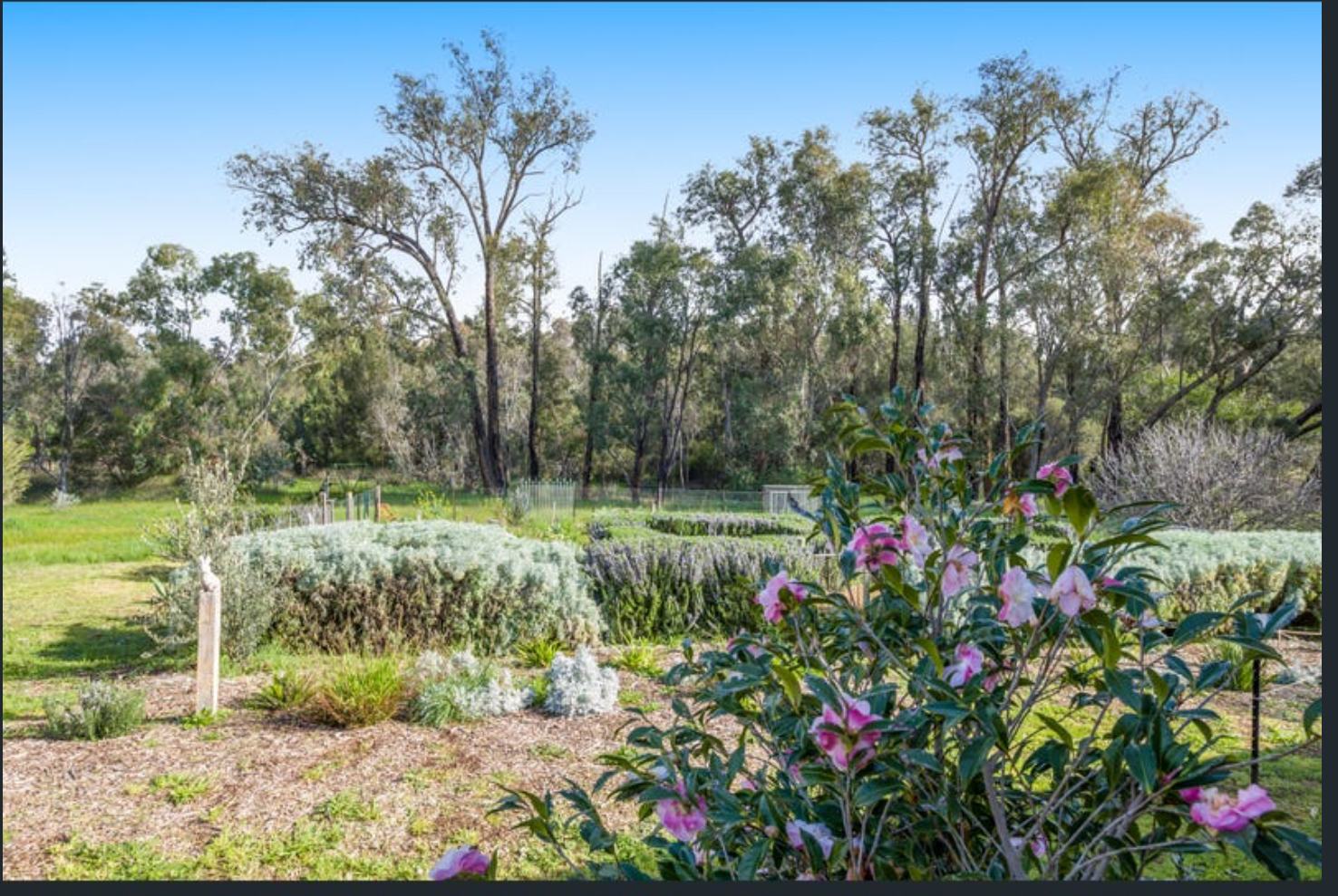 River Run At Fettlers Crossing