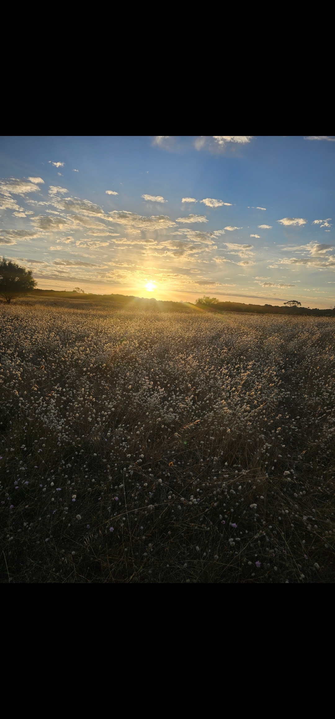Beachport Bush Camp