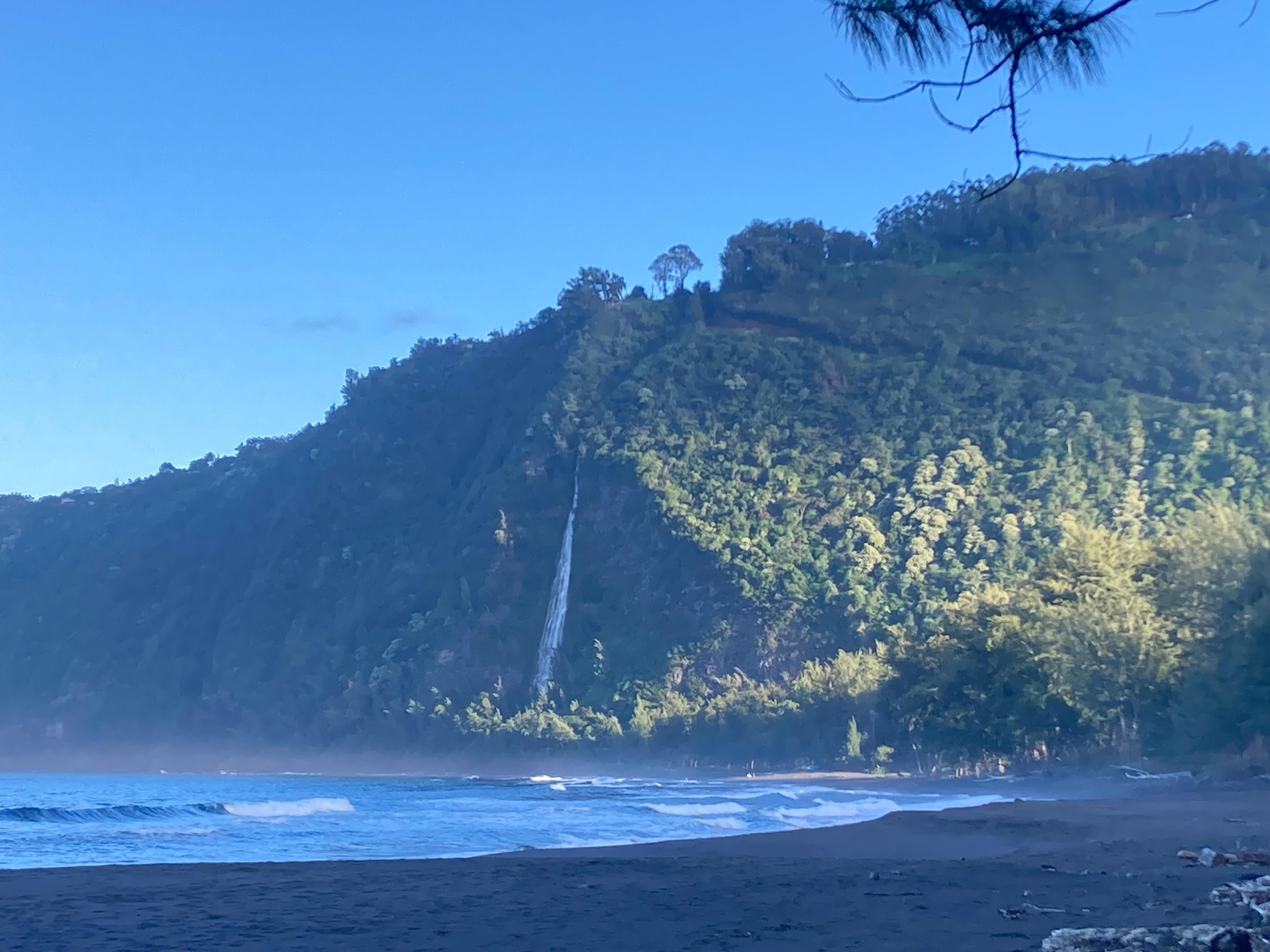 Waipio KOA