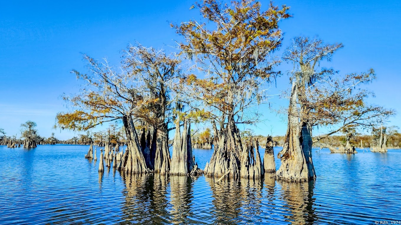 Dead Lakes RV Park and Campground