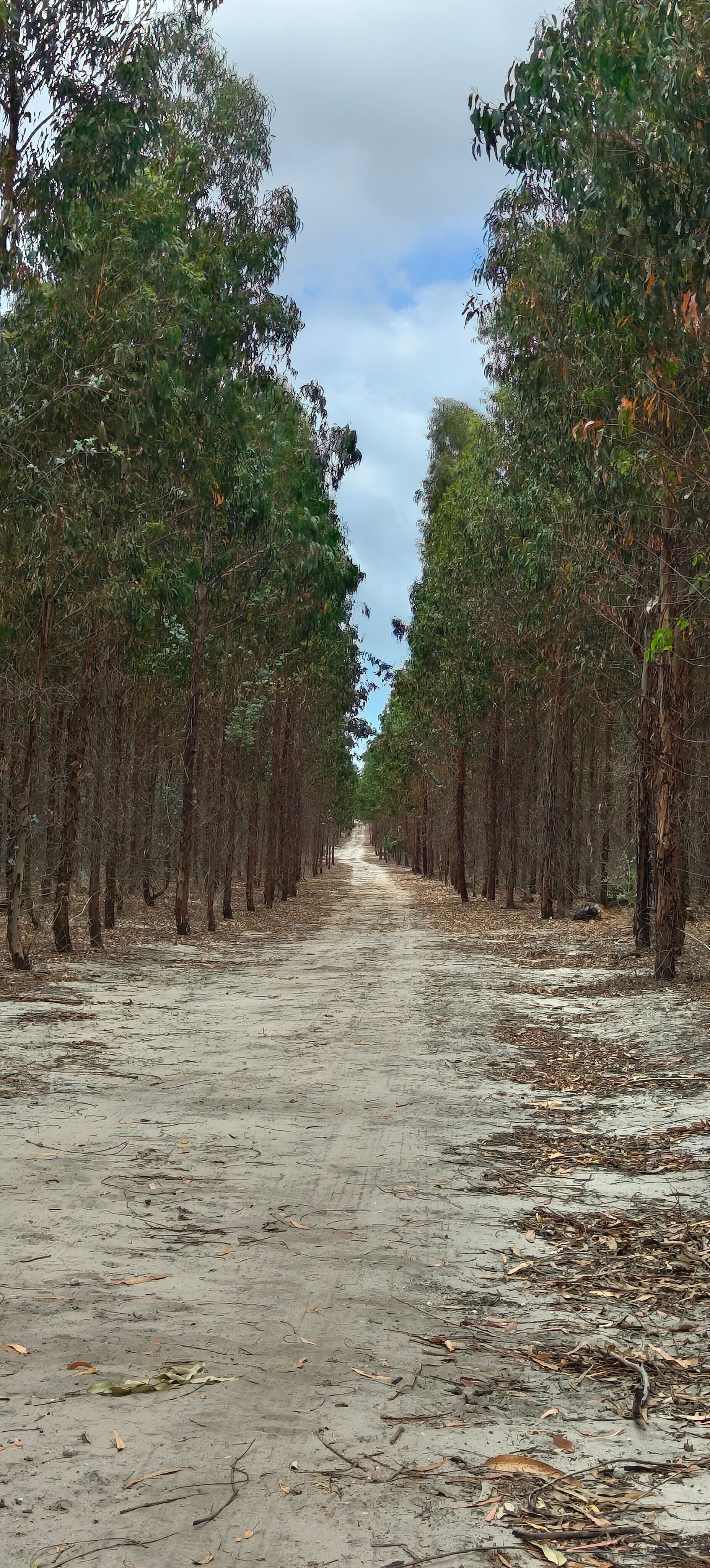 Whicher Farm Campsite