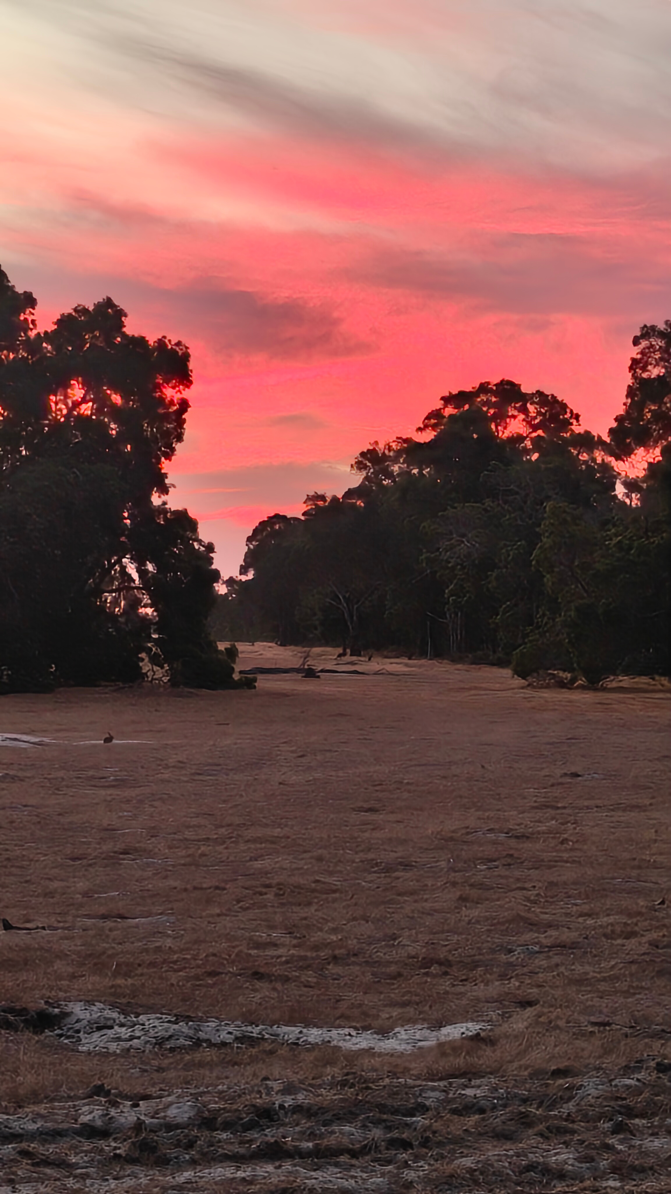 Whicher Farm Campsite