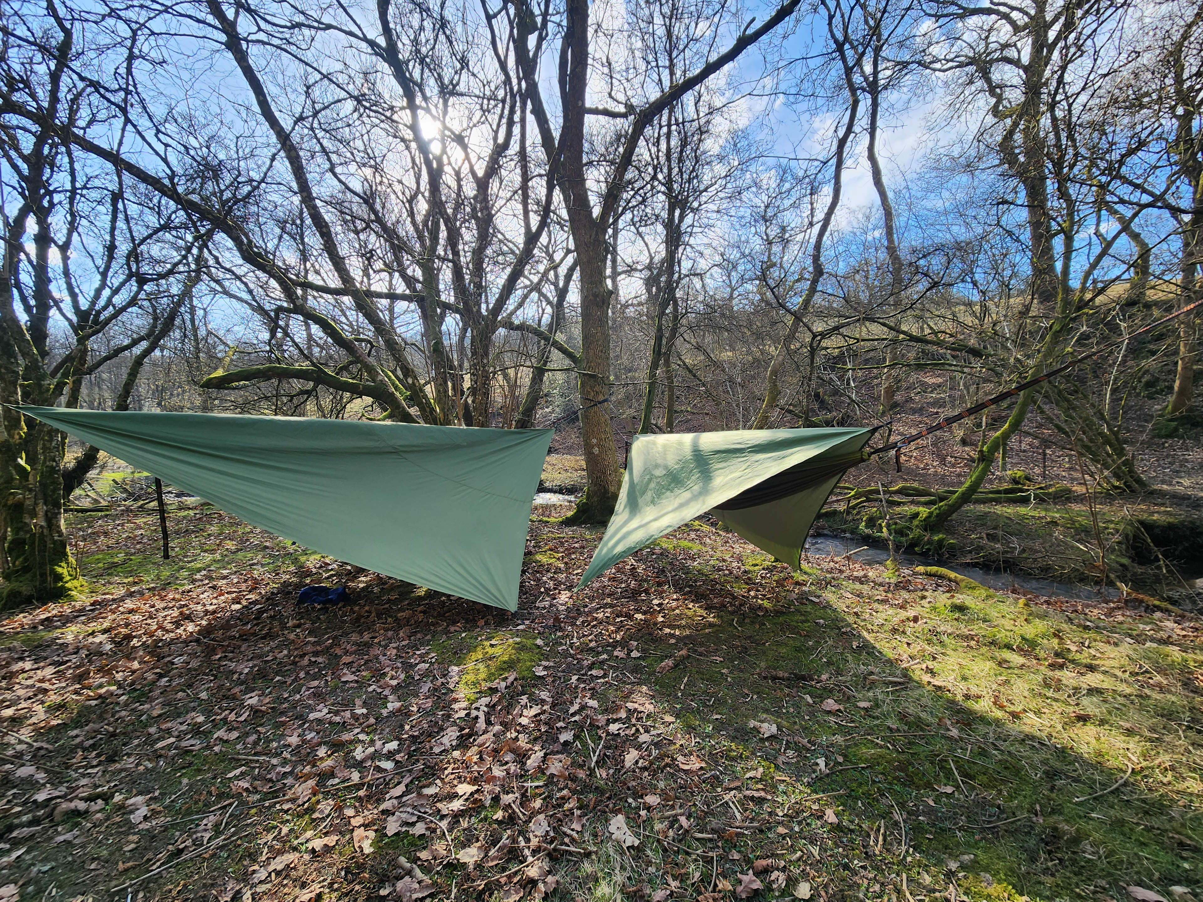 Wild Hammock Camping