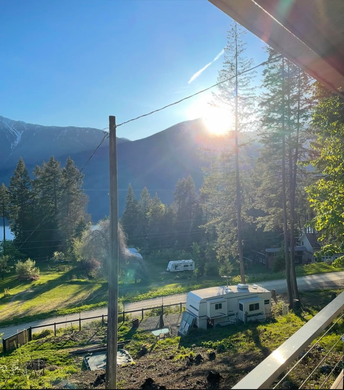 Kootenay Thyme