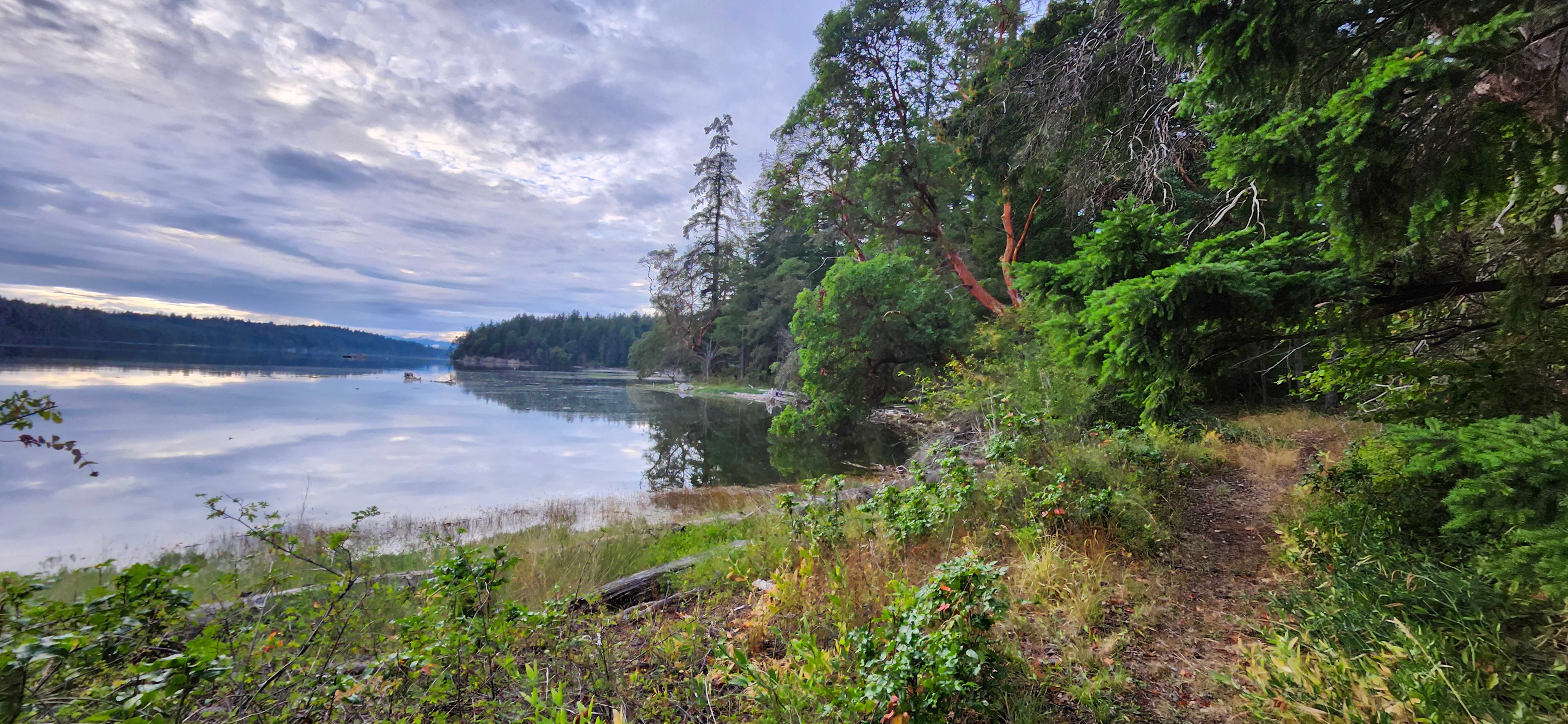Woodland Grove on the Coast