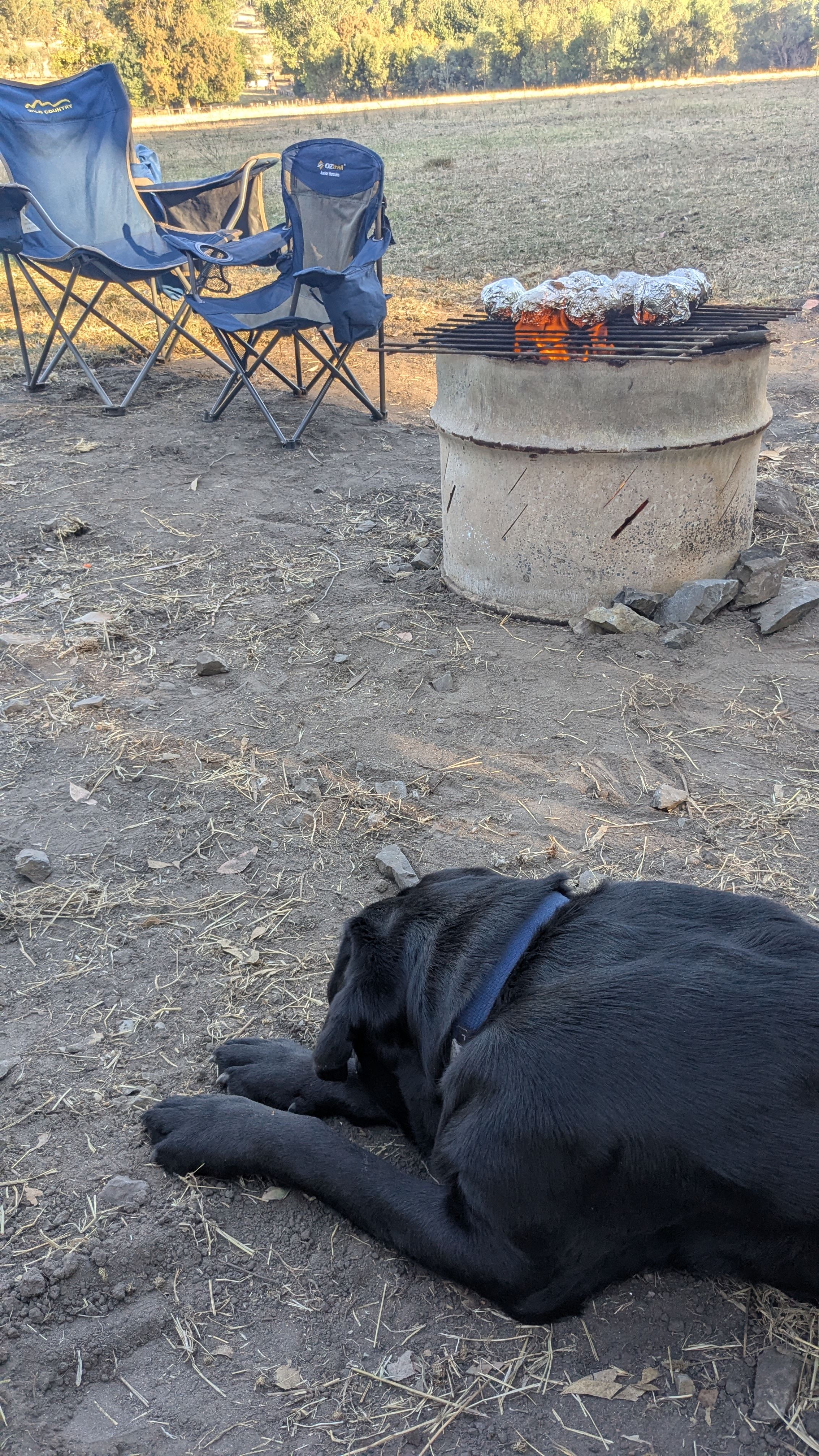 Cooking on the fire pit.  