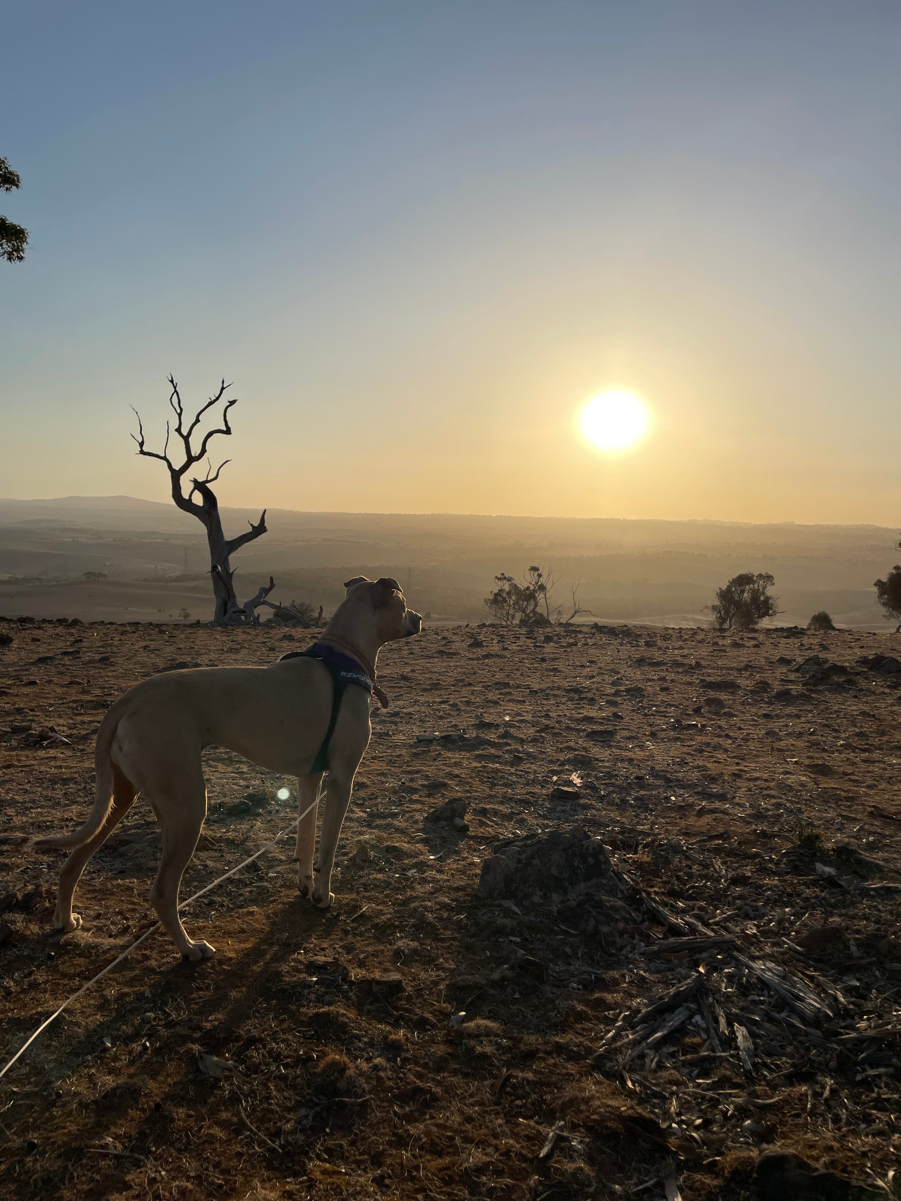 The Plateau Adventures