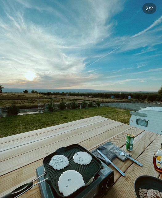 Trinity Gardens Lavender Farm