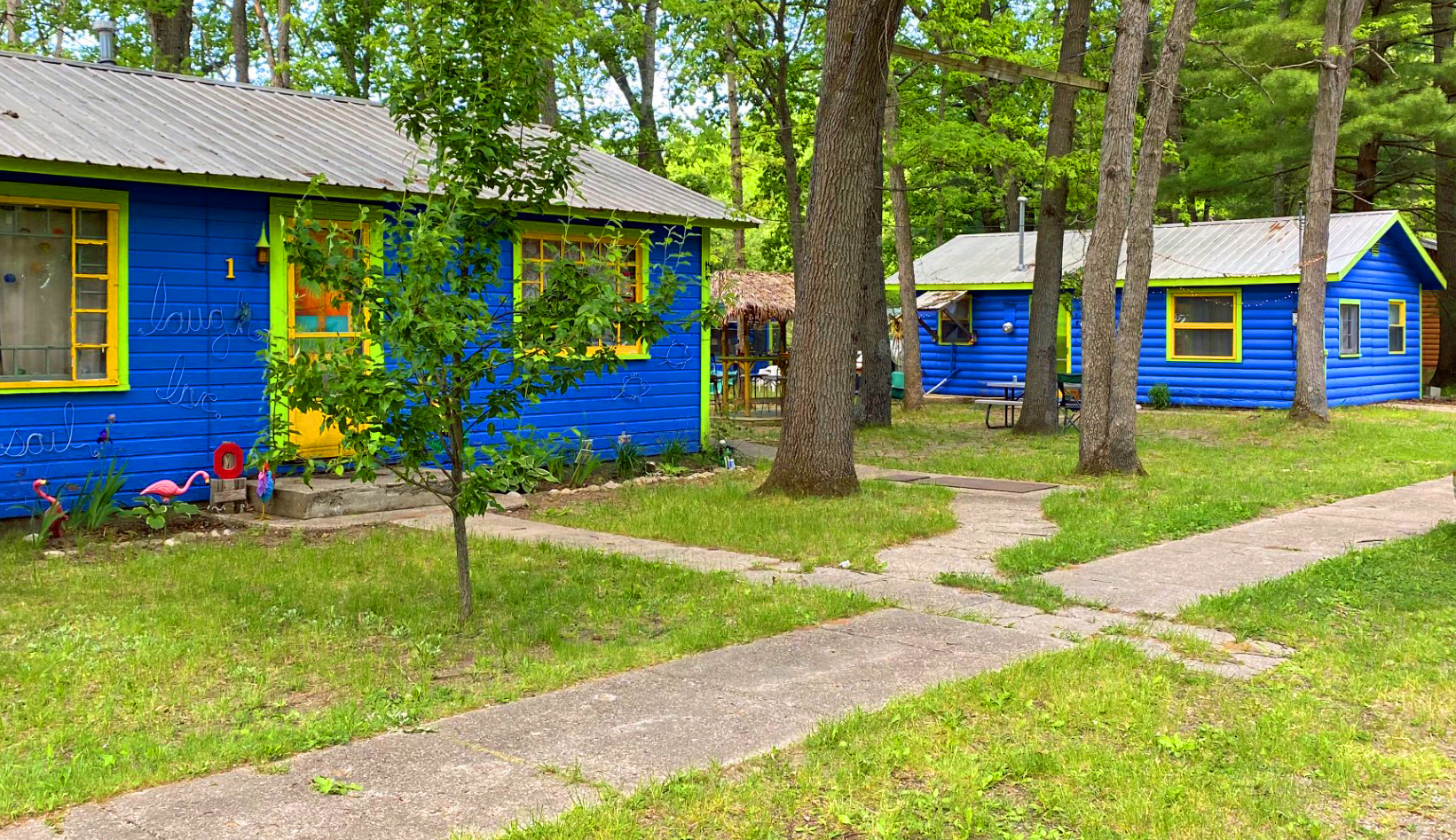 North Woods Paradise