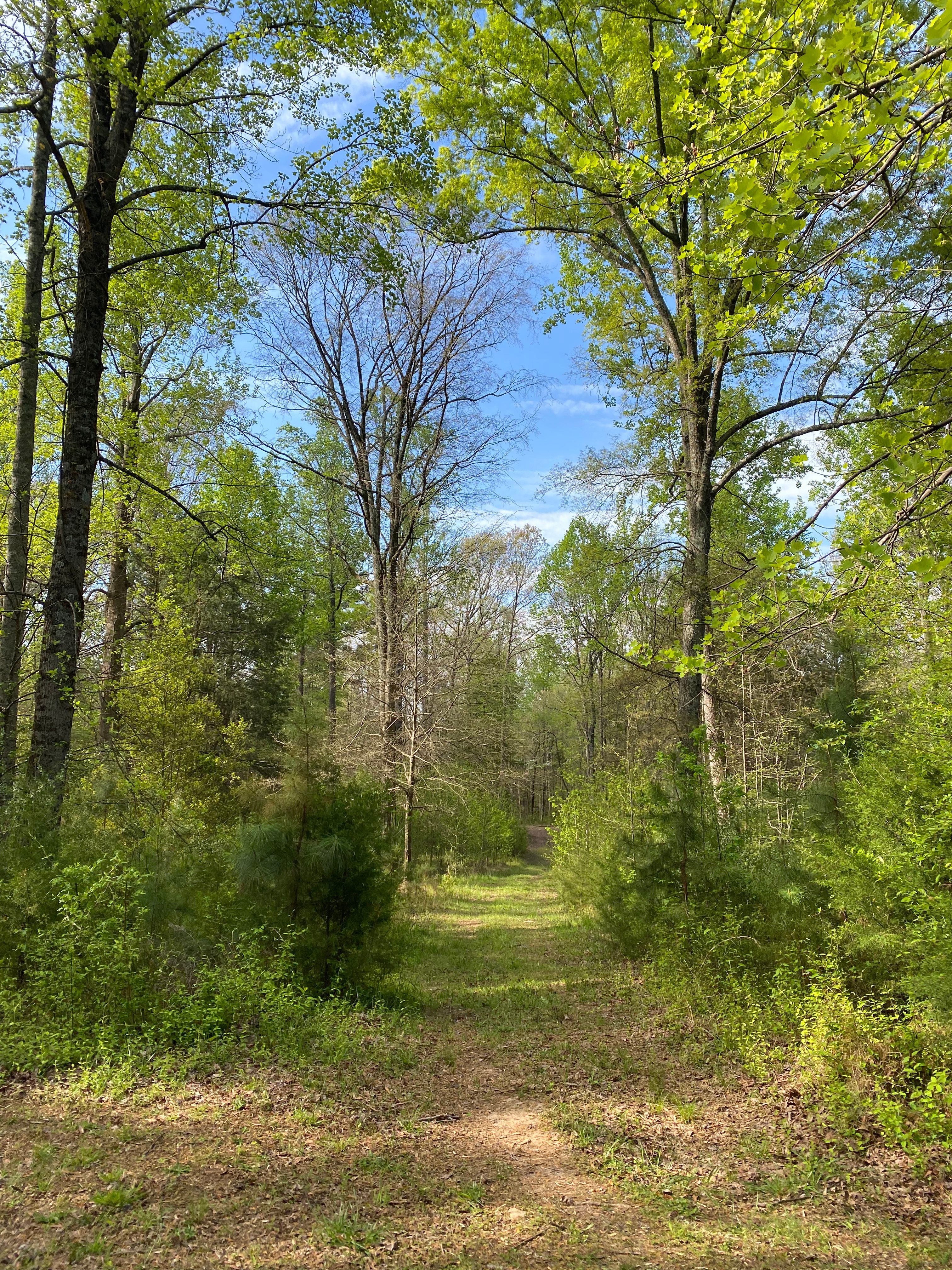 Adkins Nature Retreat