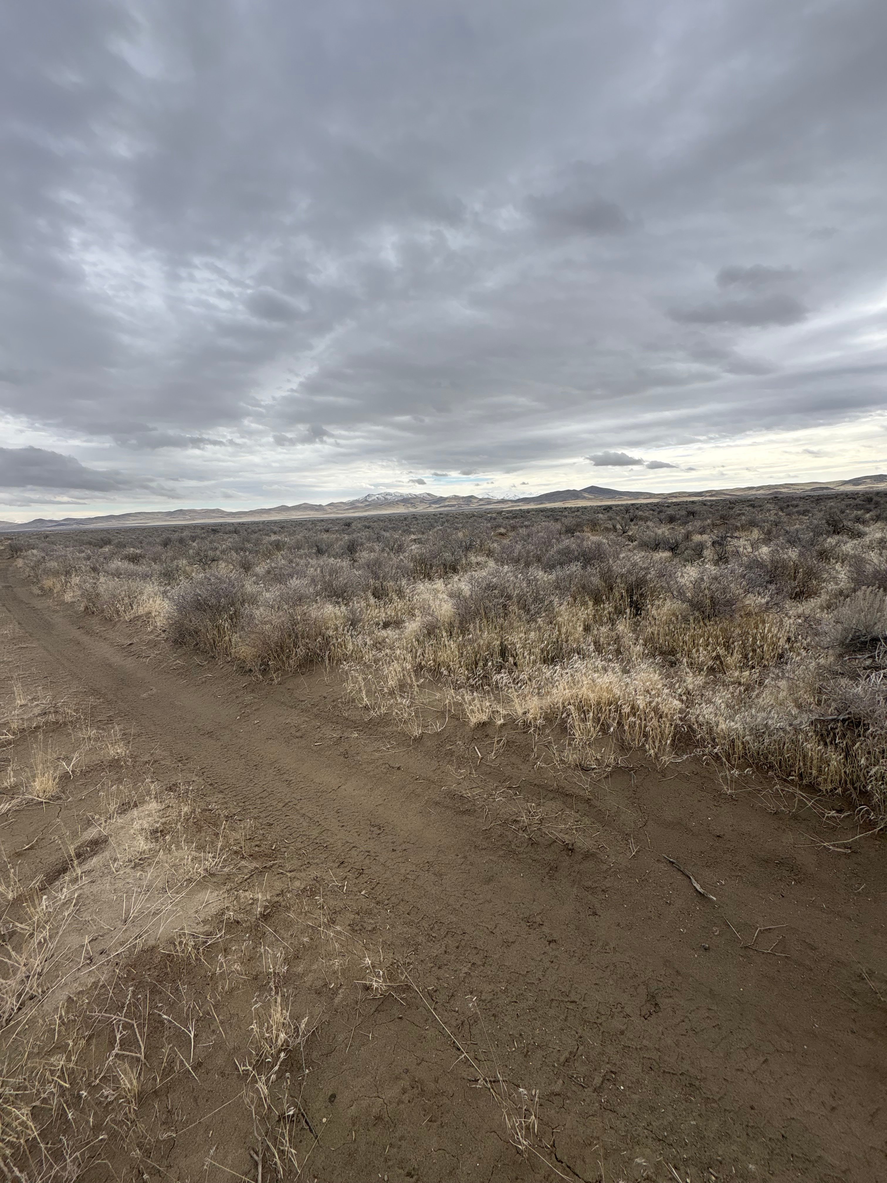 Ongster Lands Winnemucca Sand Dunes