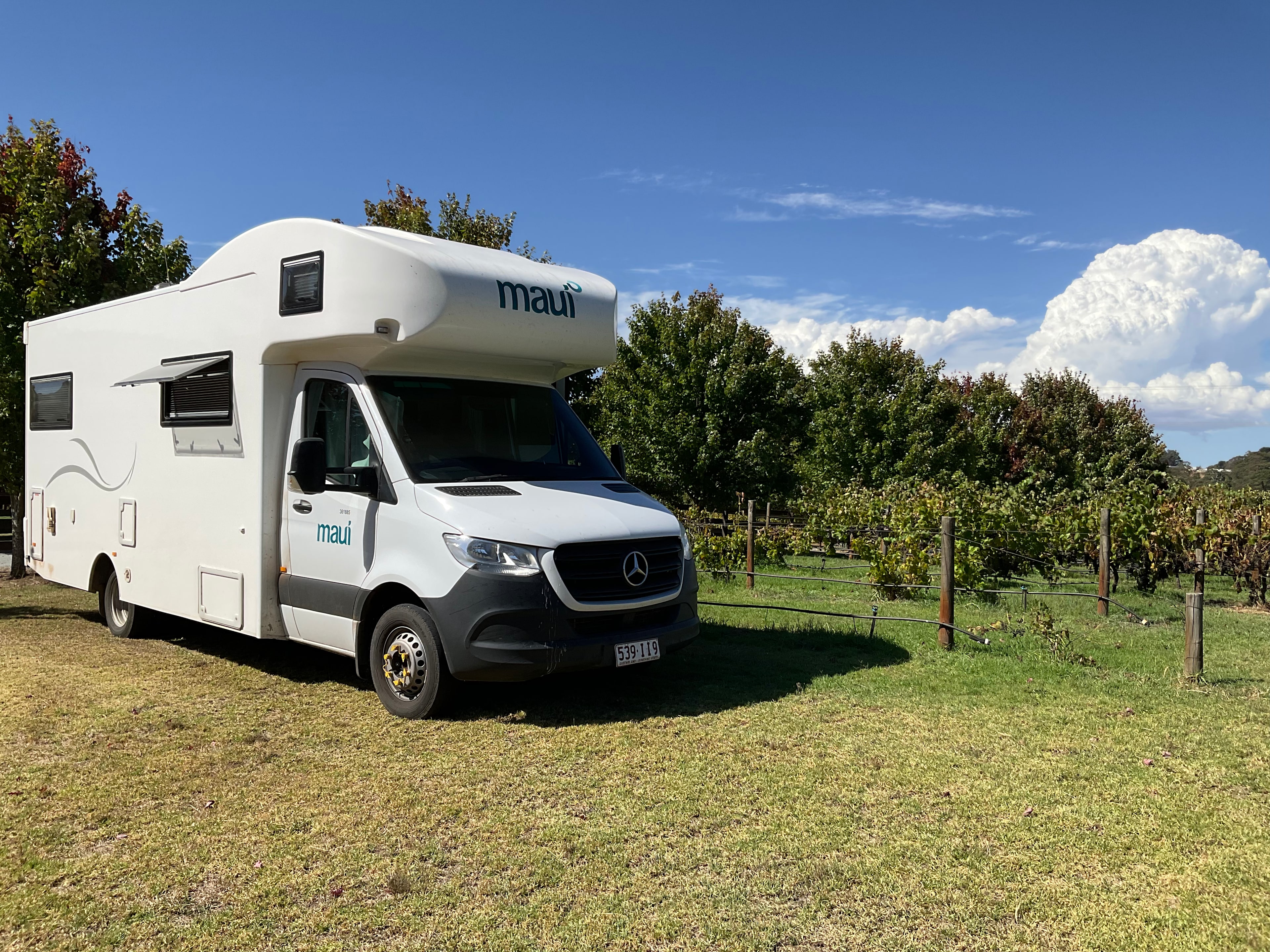 Stone’s Summertown Cherry Farm