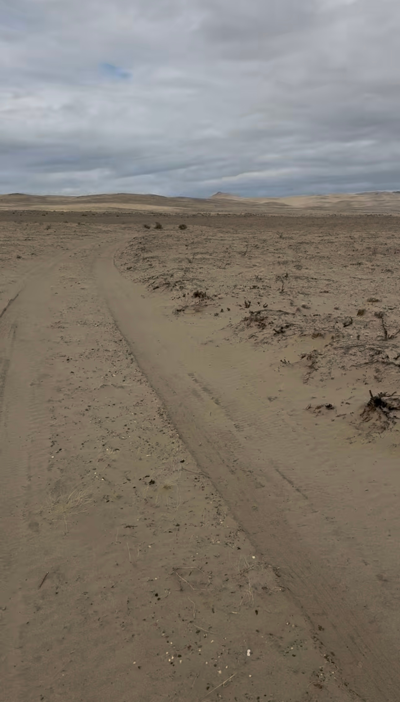 Ongster Lands Winnemucca Sand Dunes
