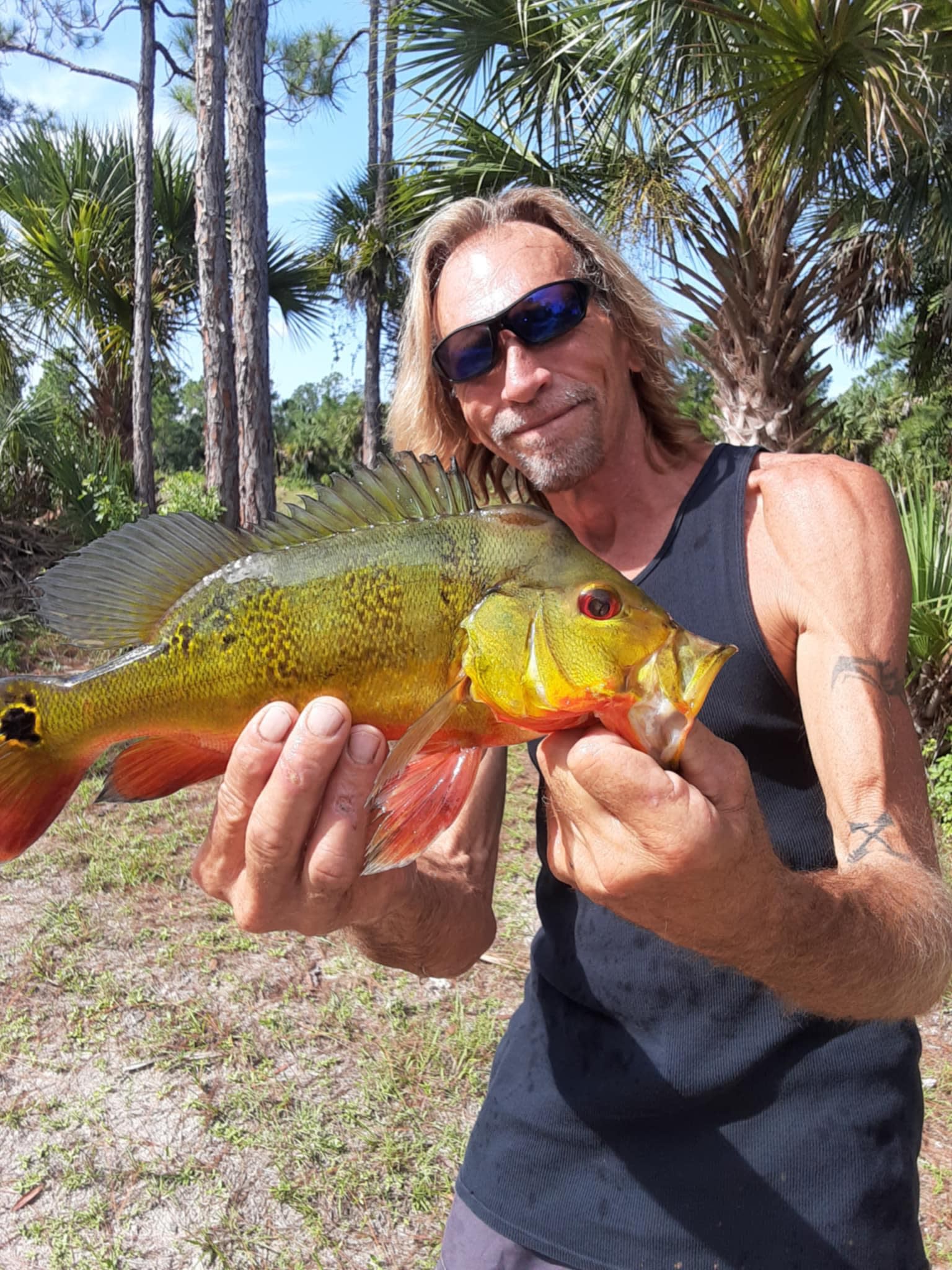 Everglades Fish Camp,  Naples FL